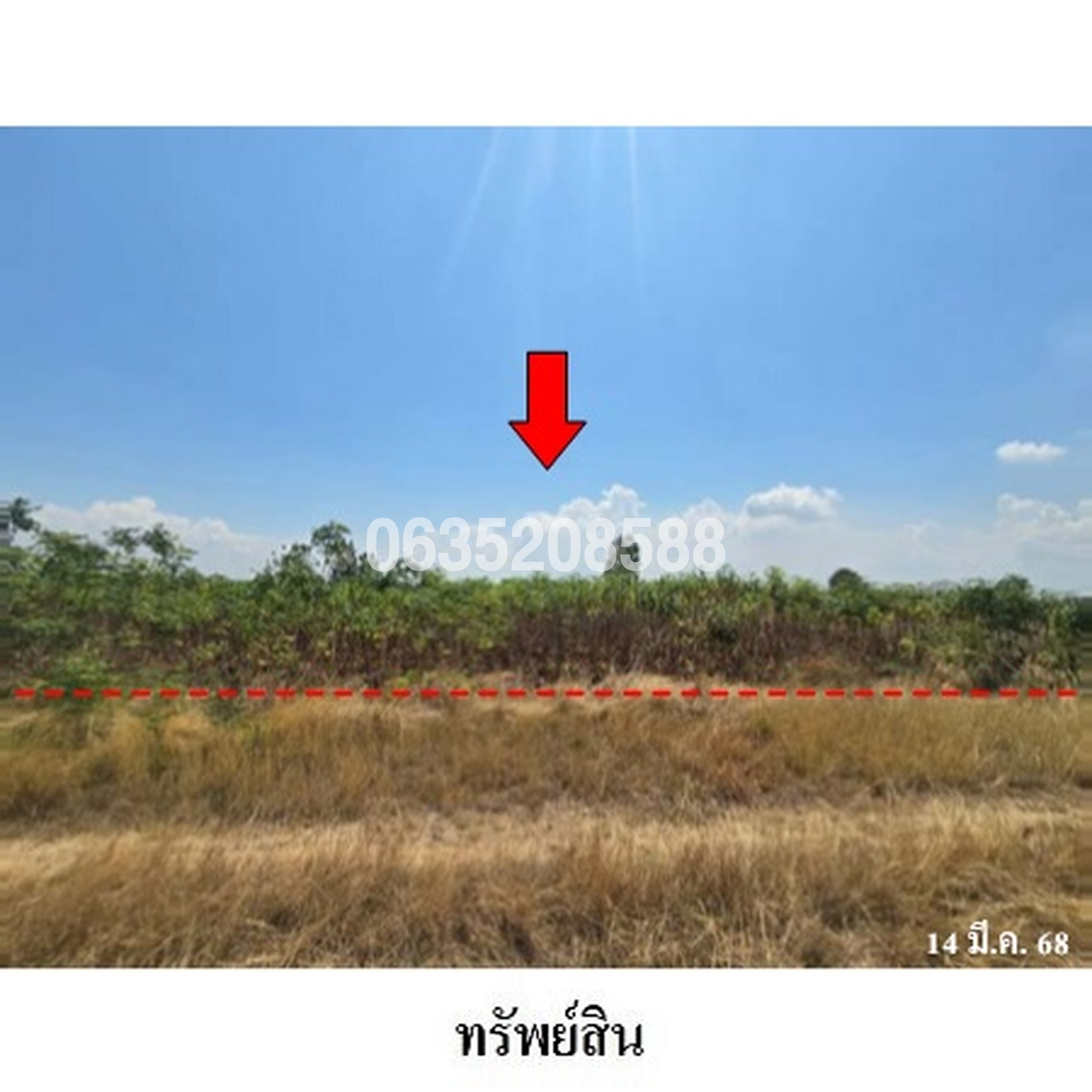 ขายที่ดิน ถนนถนนสุรนารายณ์ (ทล.205)