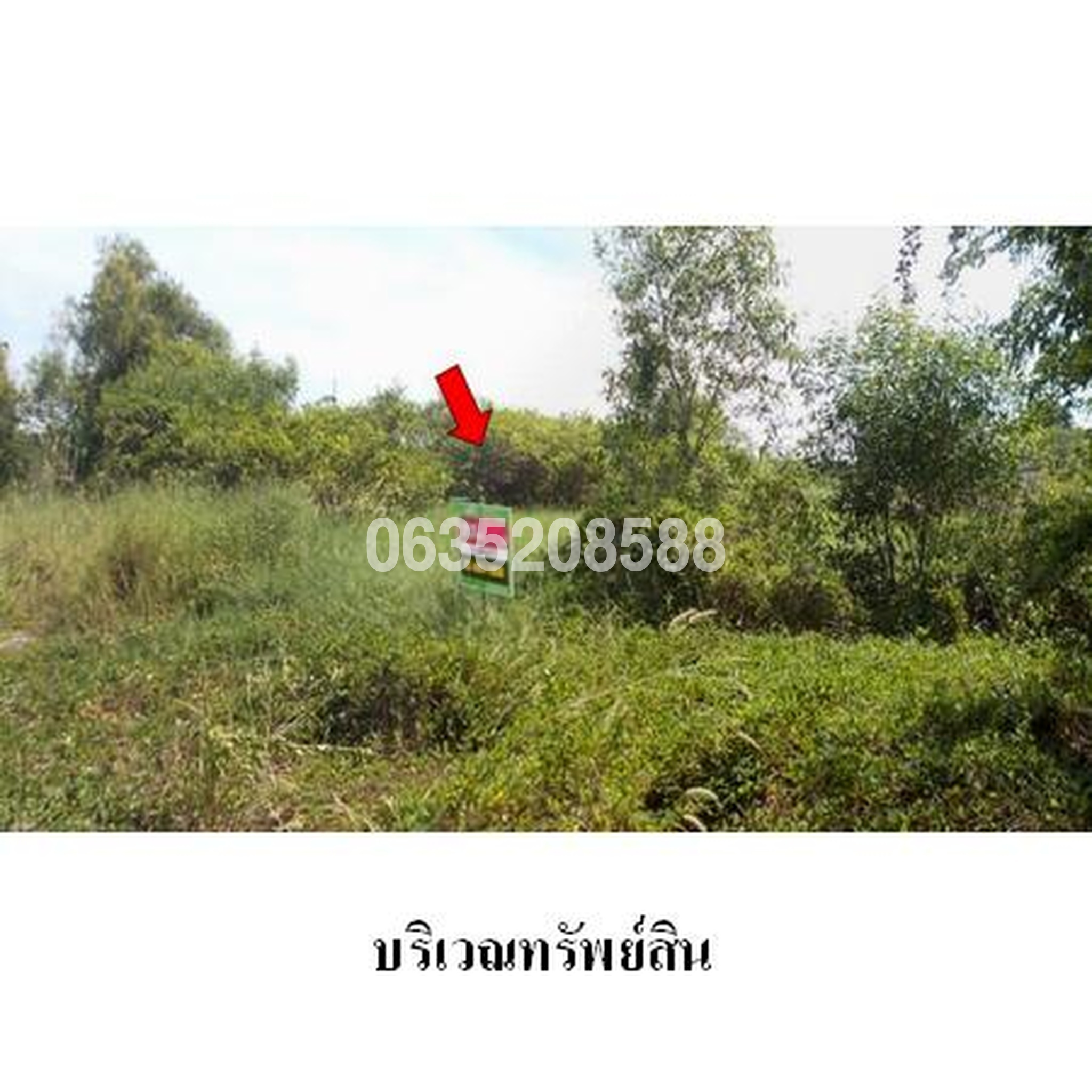 ขายที่ดิน ไพน์เฮิร์สท กอล์ฟ แอนด์ คันทรีคลับ