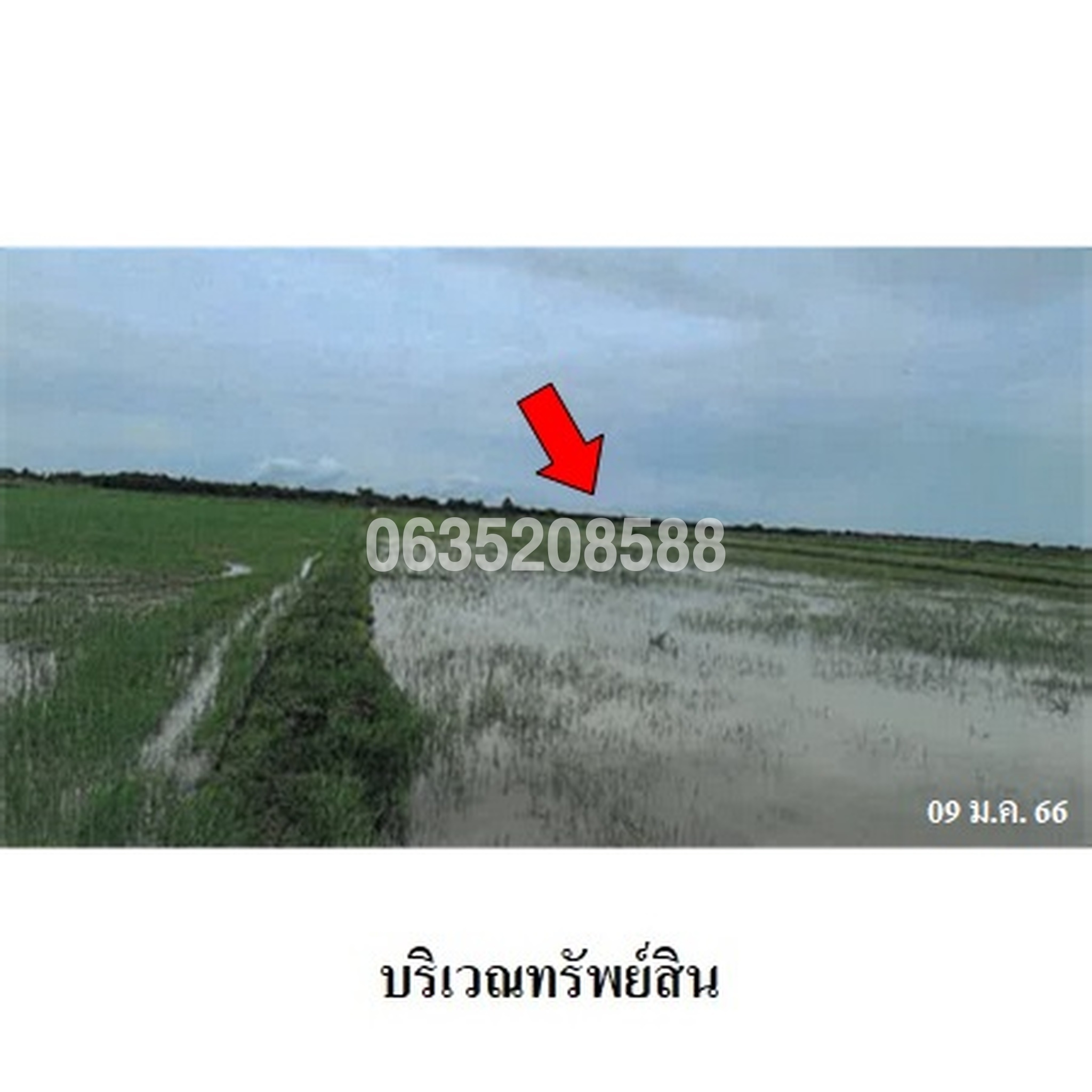 ขายที่ดิน ถนนสายชะอำ-คลองโคน (พบ.4028)