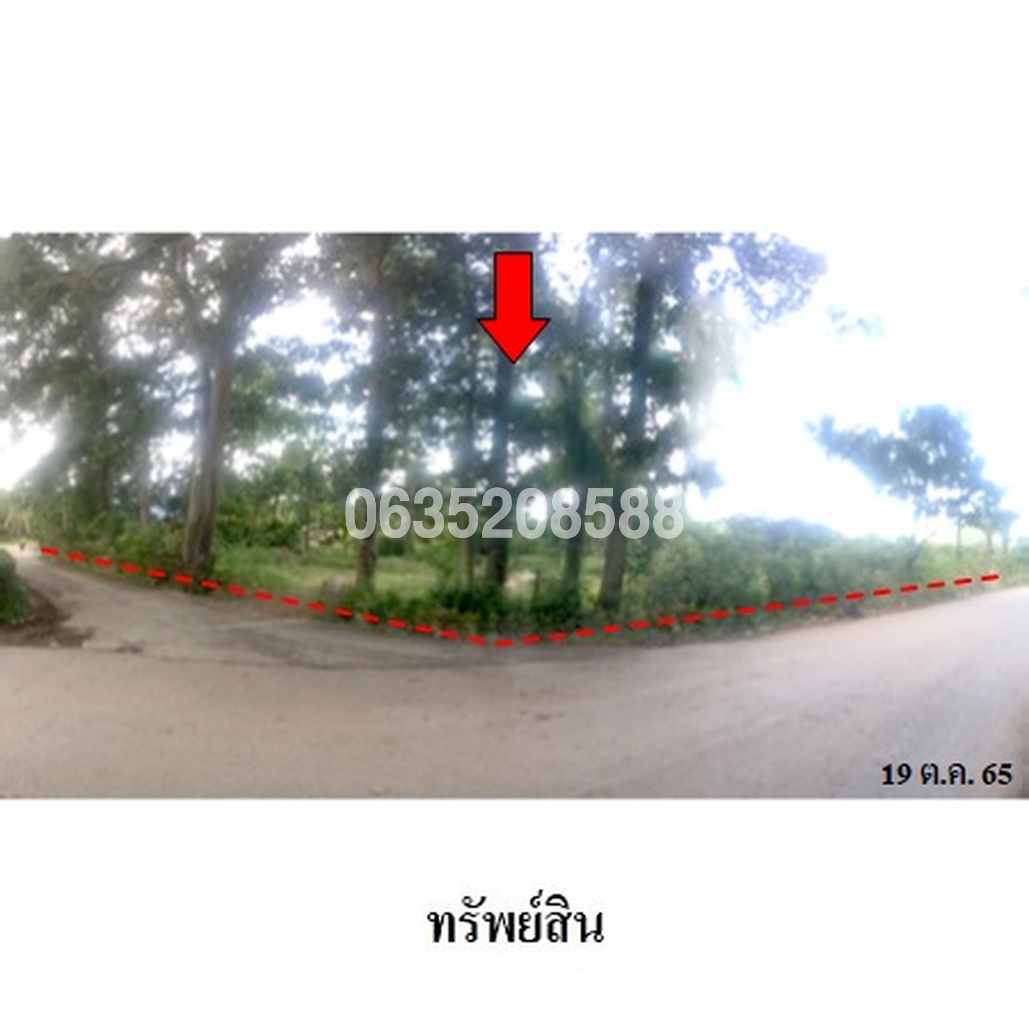 ขายที่ดิน ถนนทางหลวงชนบท ชพ.408 (สงขลา-ระโนด)