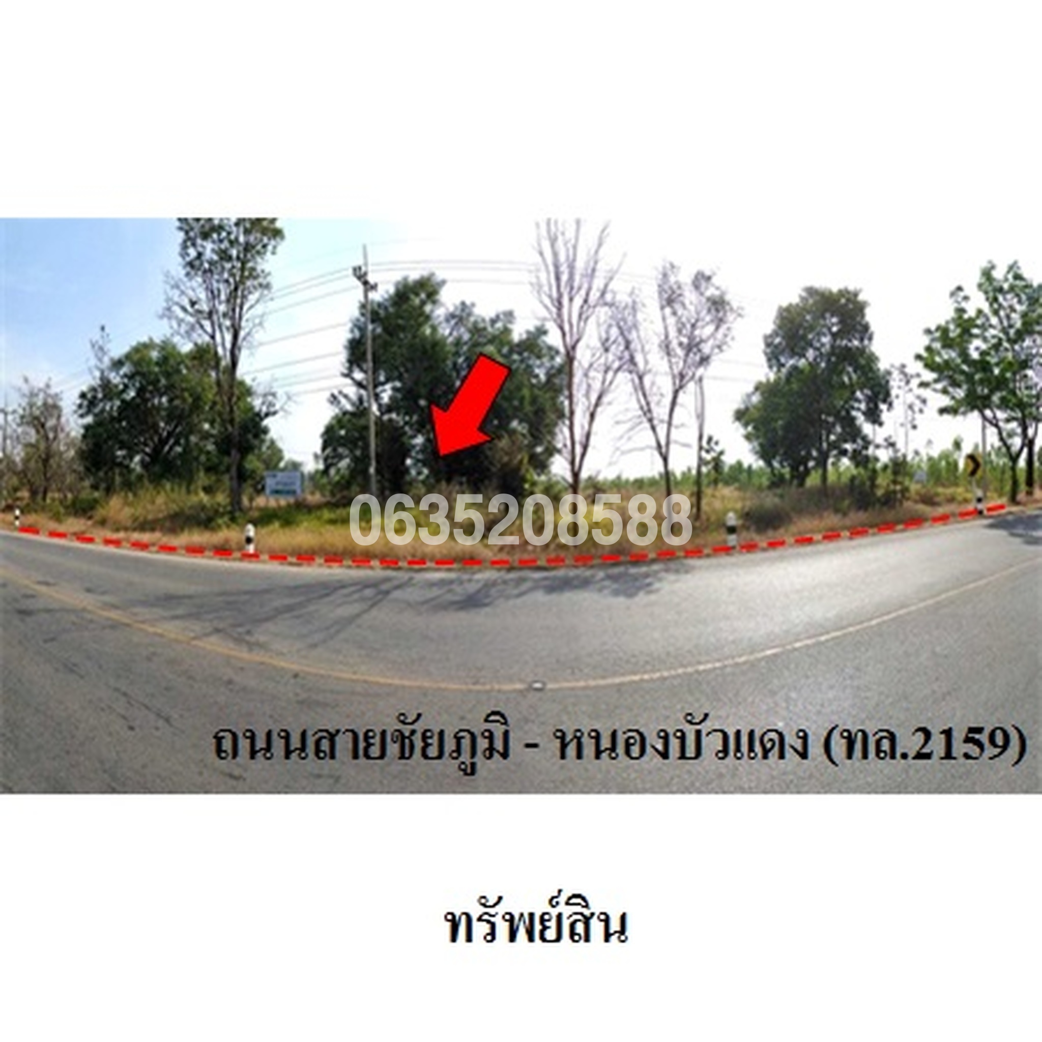 ขายที่ดิน ถนนสายชัยภูมิ-หนองบัวแดง (ทล.2159)