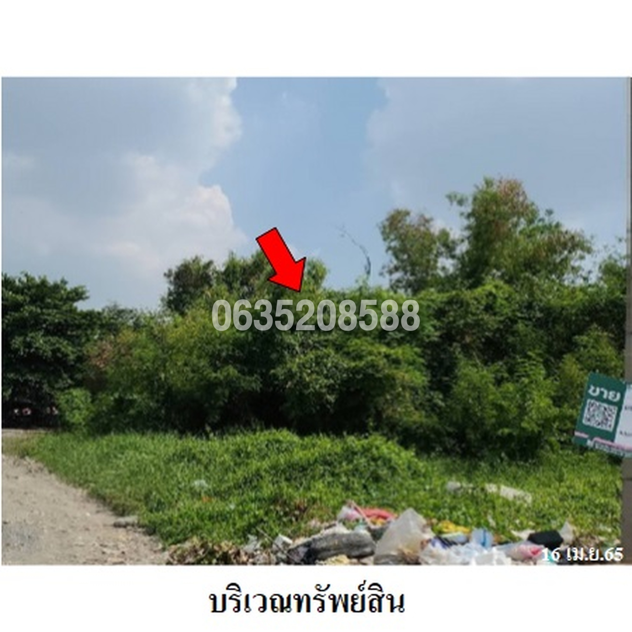 ขายที่ดิน เมืองประชา (Mueang Pracha Bang Khu Wat)