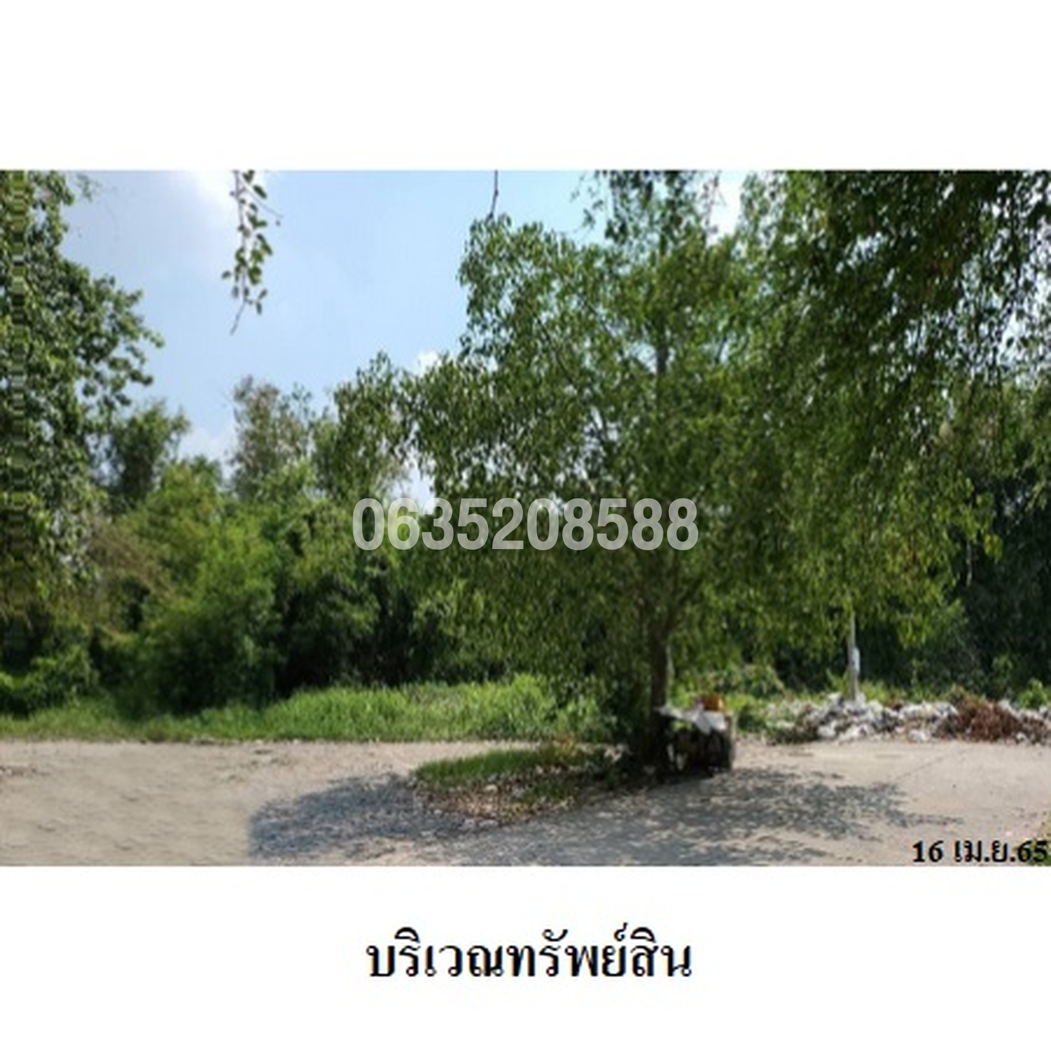 ขายที่ดิน เมืองประชา (Mueang Pracha Bang Khu Wat)