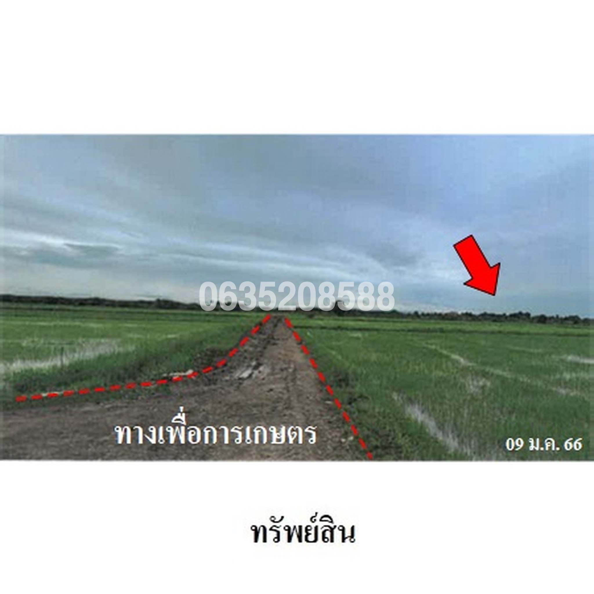 ขายที่ดิน ถนนสายชะอำ-คลองโคน (พบ.4028)