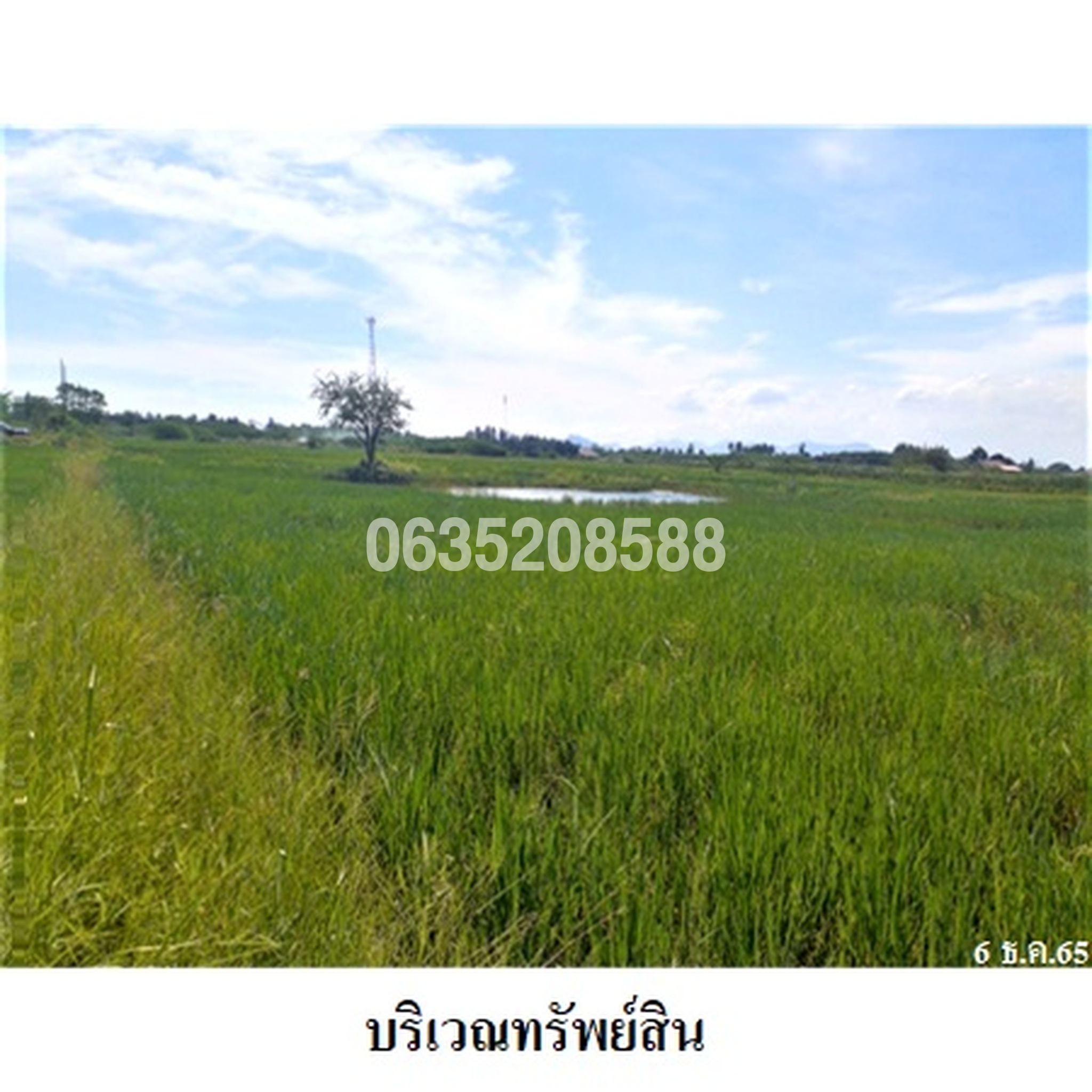 ขายที่ดิน ถนนสายชะอำ-คลองโคน (พบ.4028)