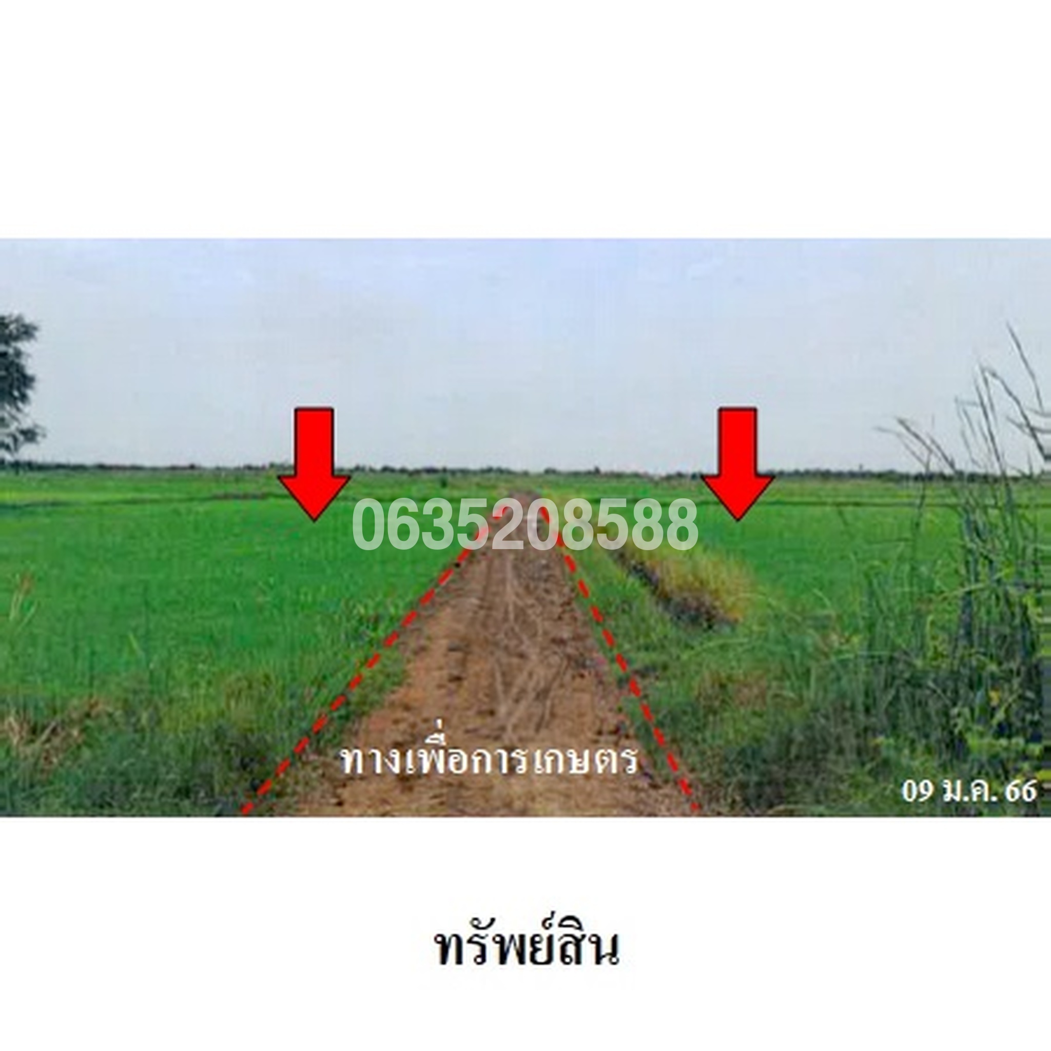 ขายที่ดิน ถนนสายชะอำ-คลองโคน (พบ.4028)