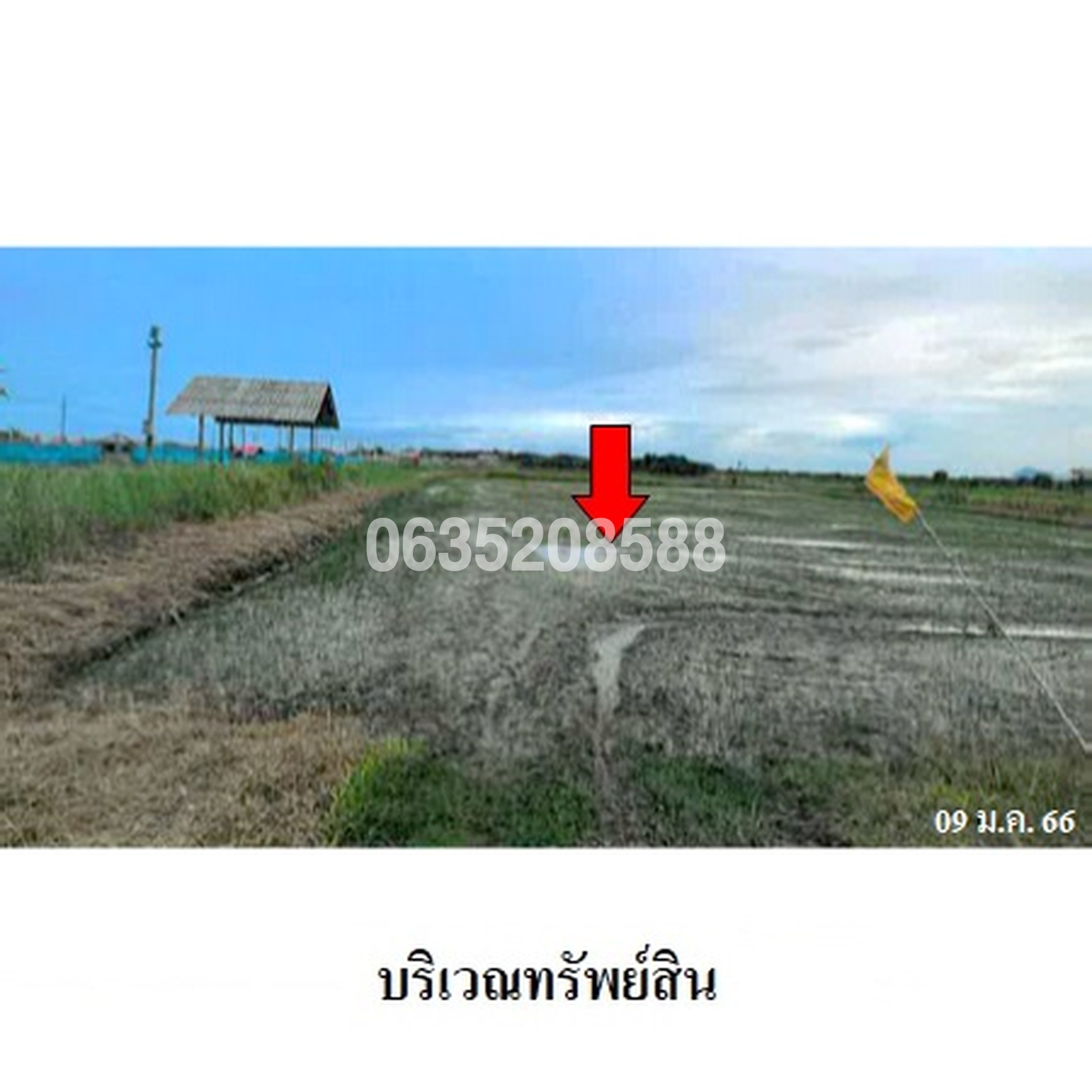 ขายที่ดิน ถนนสายชะอำ-คลองโคน (พบ.4028)