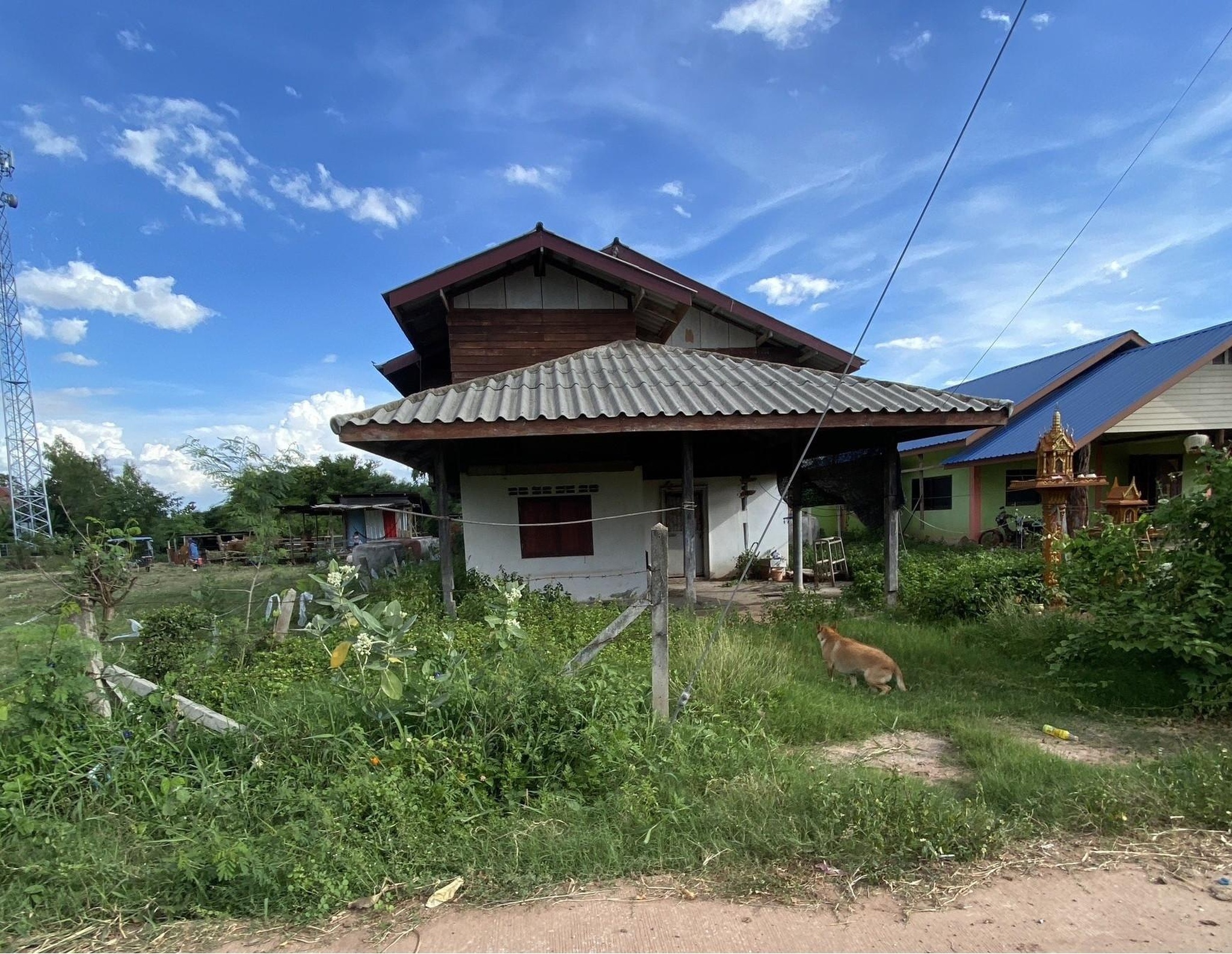 ทรัพย์สถาบันโดย GHB บ้านเดี่ยว วังกรวด