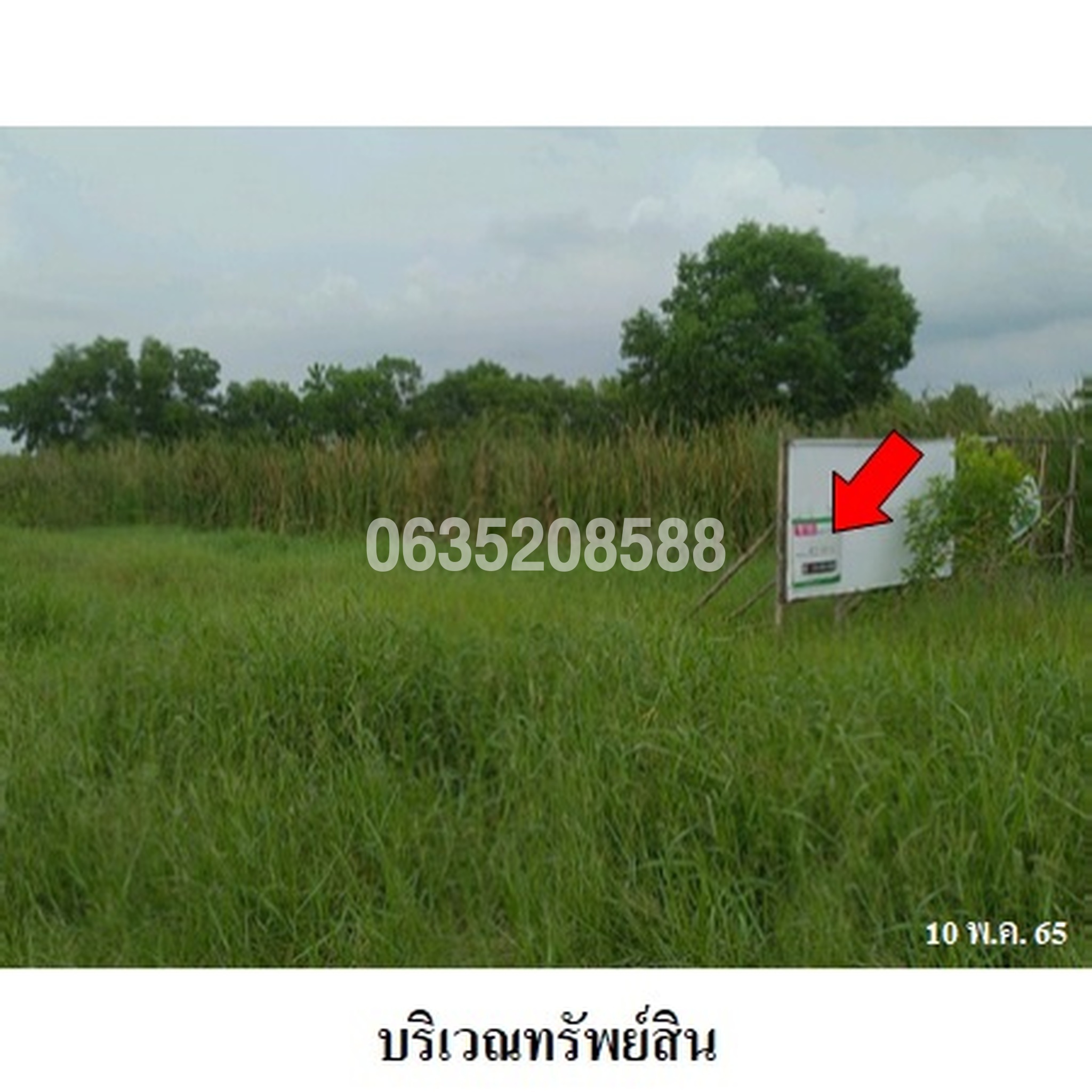 ขายที่ดิน ศรีเจริญทอง