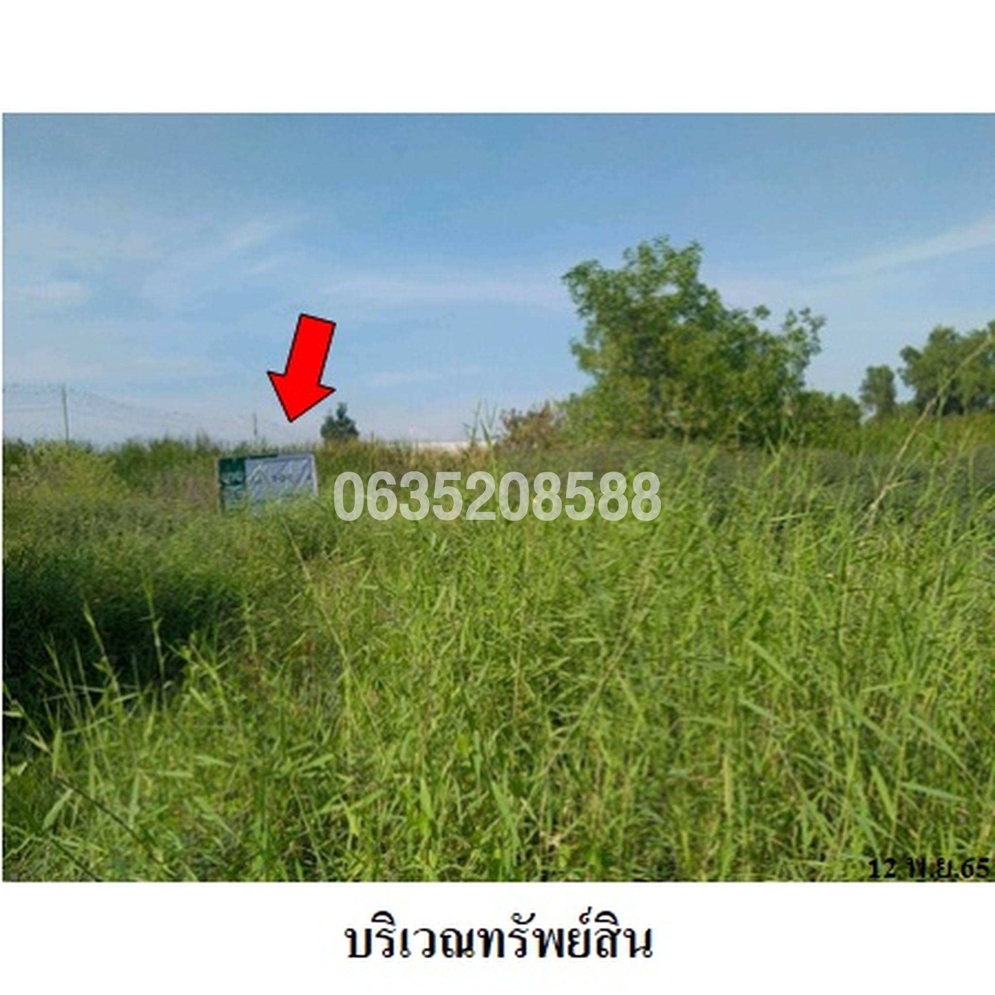 ขายที่ดิน ศรีเจริญทอง