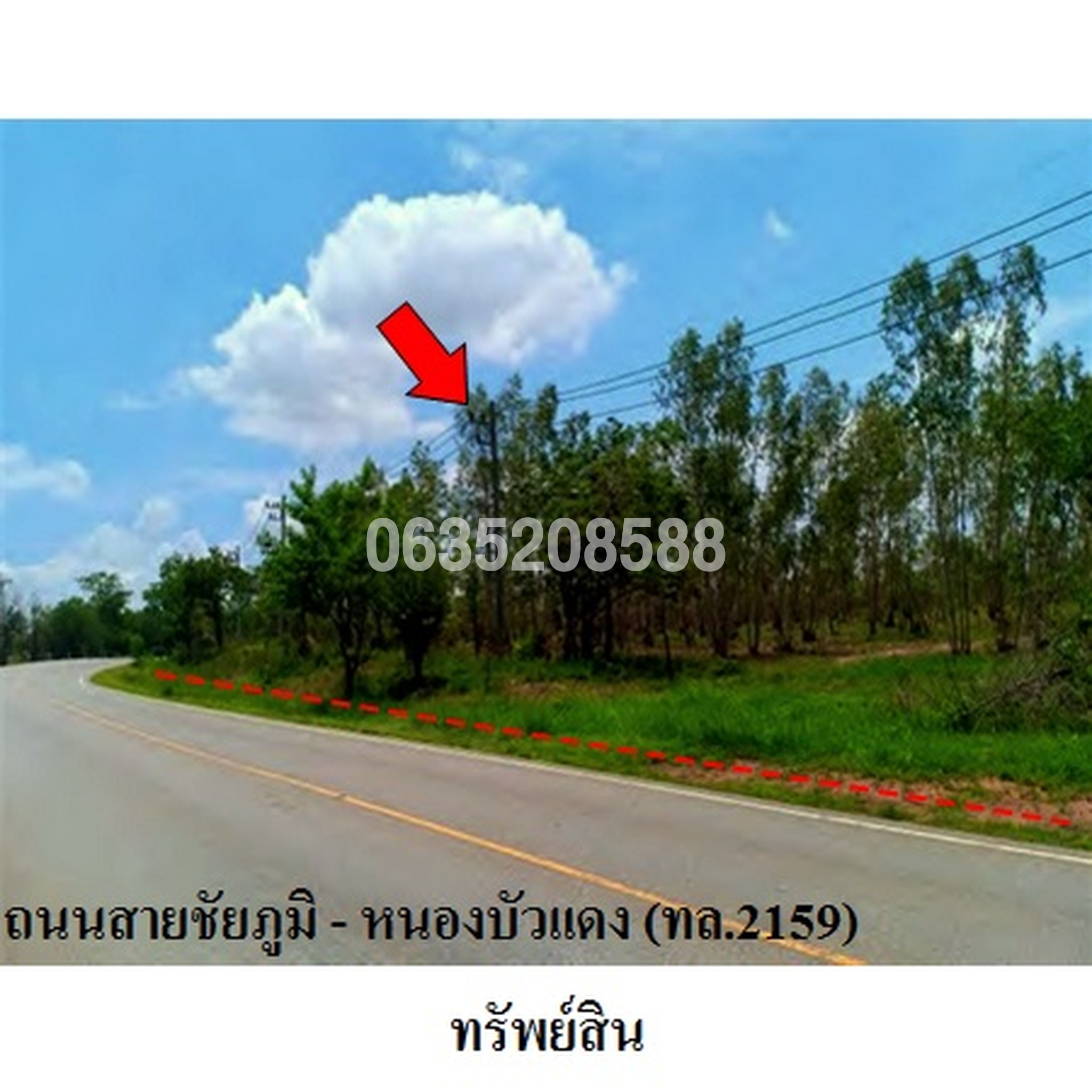 ขายที่ดิน มรกต