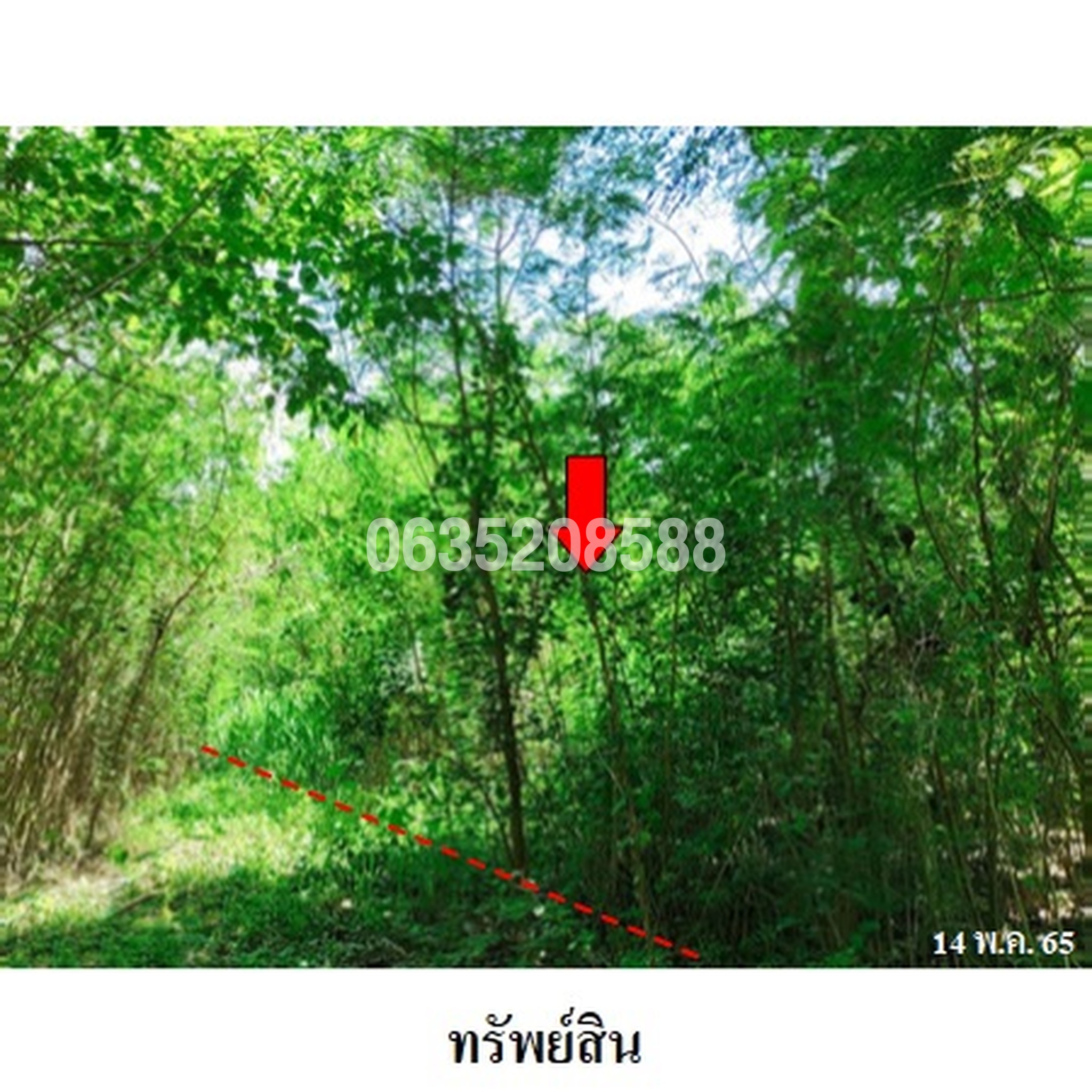 ทรัพย์สถาบันโดย บริษัท บริหารสินทรัพย์สุขุมวิท จำกัด ที่ดิน เพชรบูรณ์การ์เด้นฮิลล์