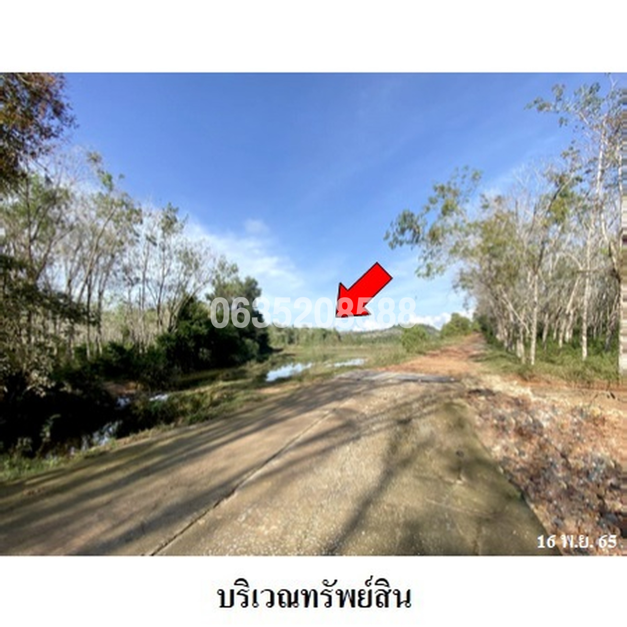 ขายที่ดิน ถนนนราธิวาส-ต้นหยงมัส (ทล.4055)