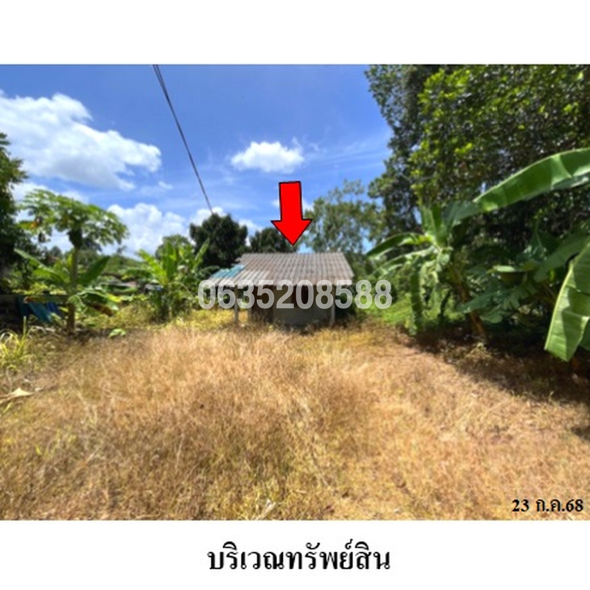 ขายบ้านเดี่ยว ถนนเพชรเกษม-ถ้ำบุตร