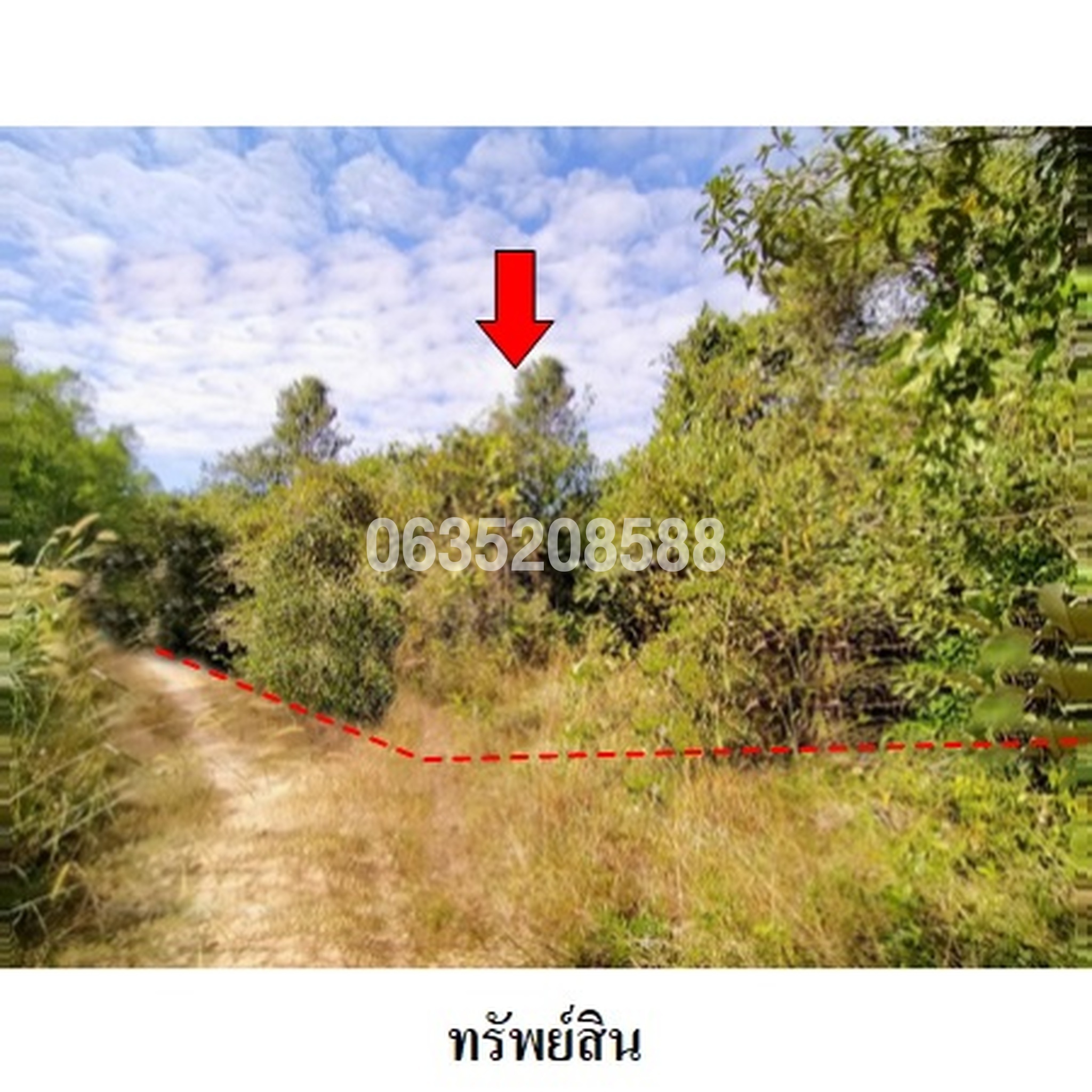 ขายที่ดิน ชุมชนบ้านนิคม
