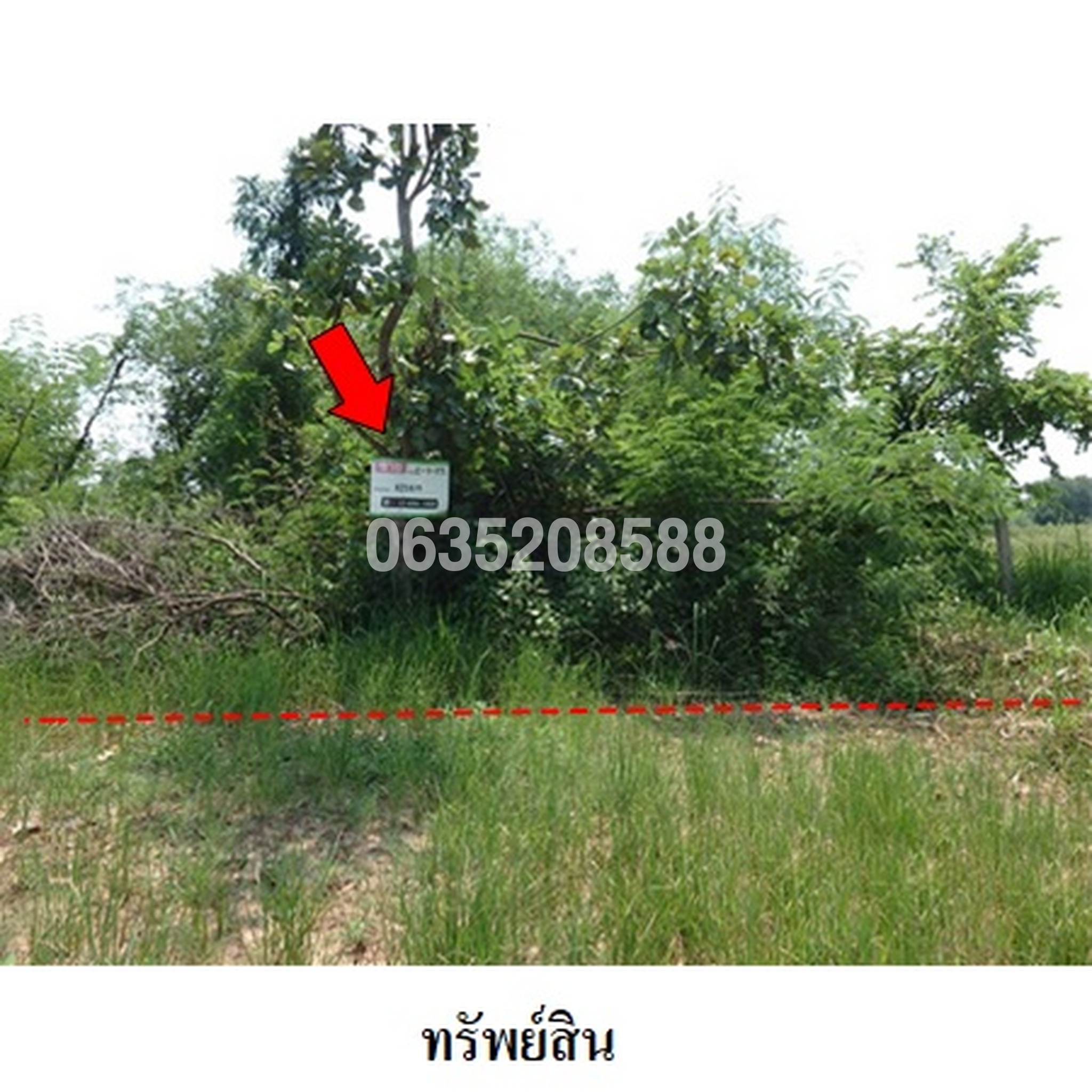 ทรัพย์สถาบันโดย บริษัท บริหารสินทรัพย์สุขุมวิท จำกัด ที่ดิน ถนนมะลิวัลย์ (ทล.12)