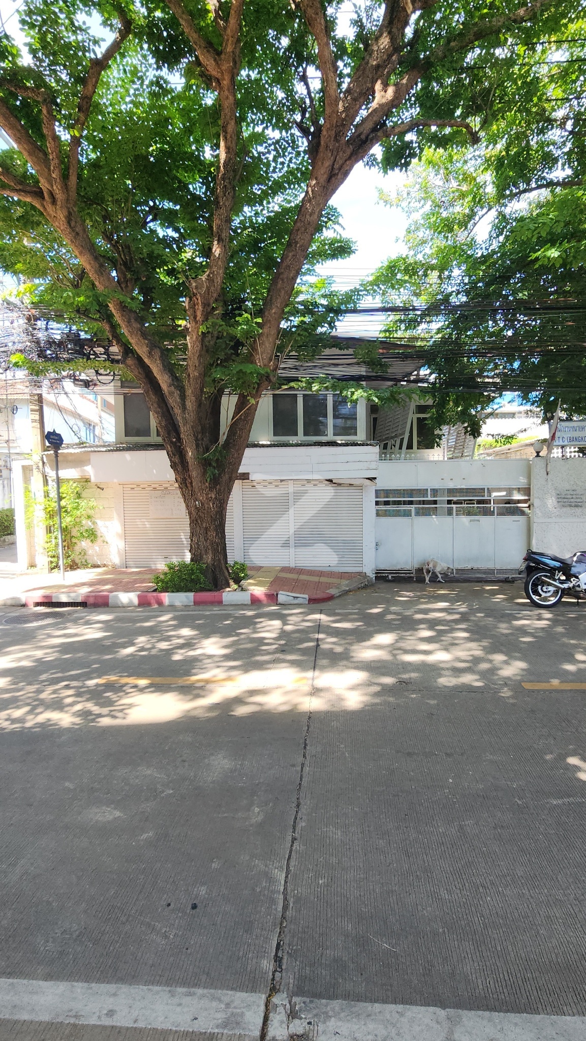 ที่แปลงนี้ มีบ้านเดี่ยว สี่หลัง  ด้านหน้า ติดซอย เสนาร่วม 40 เมตร ด้านข้างติดซอยเจริญพร ๅ 32เมตร  : เจ้าของขายเอง (งดรับนายหน้า)