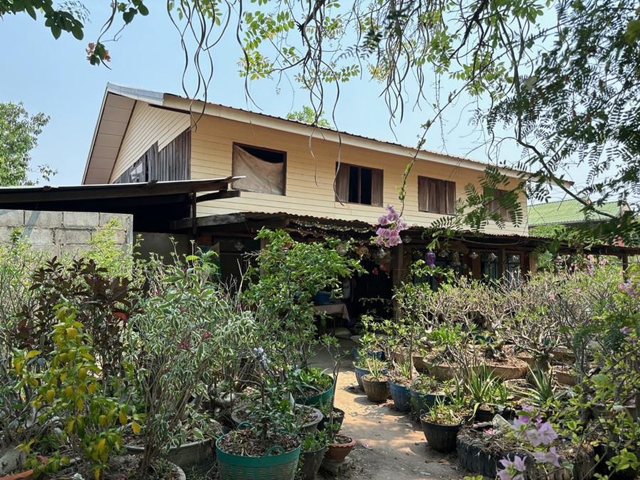 ทรัพย์สถาบันโดย GHB บ้านเดี่ยว บ้านโนนม่วง