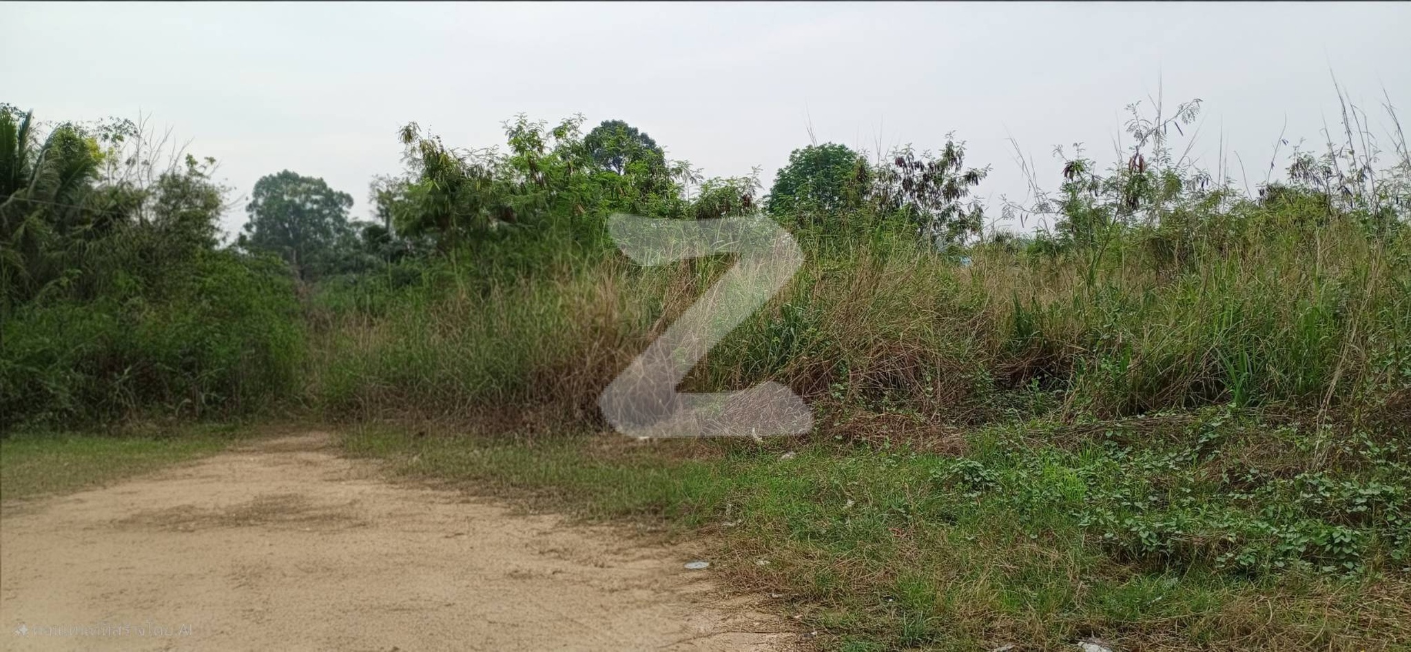 ที่ดินเปล่า 681 ตรว. หน้ากว้าง ติดถนนหลักทางหลวงหมายเลข 7 แถวหนองเลง แยกแม่กิมบ๊วย ใกล้โรงเรียนบ้านหนองเลง อยู่ในแหล่งชุมชน : เจ้าของขายเอง (งดรับนายหน้า)