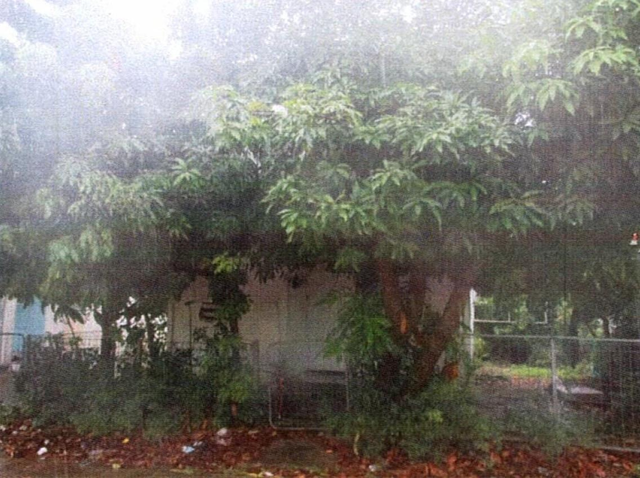 ทรัพย์สถาบันโดย GHB บ้านเดี่ยว เอื้ออาทรลาดหลุมแก้ว