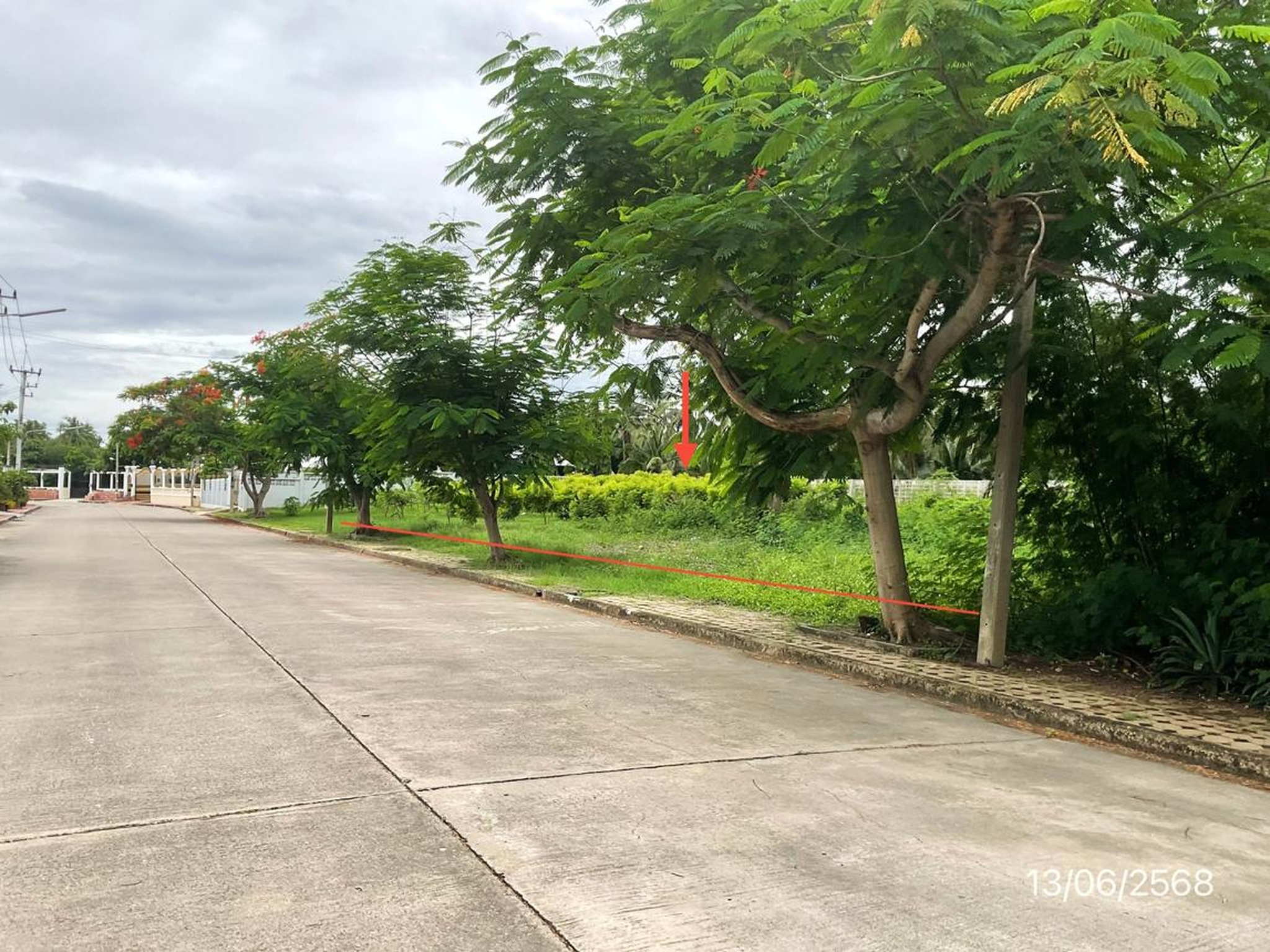ทรัพย์สถาบันโดย KASIKORNBANK ที่ดิน กฤษดา ซิตี้ กอล์ฟ ฮิลล์ 26