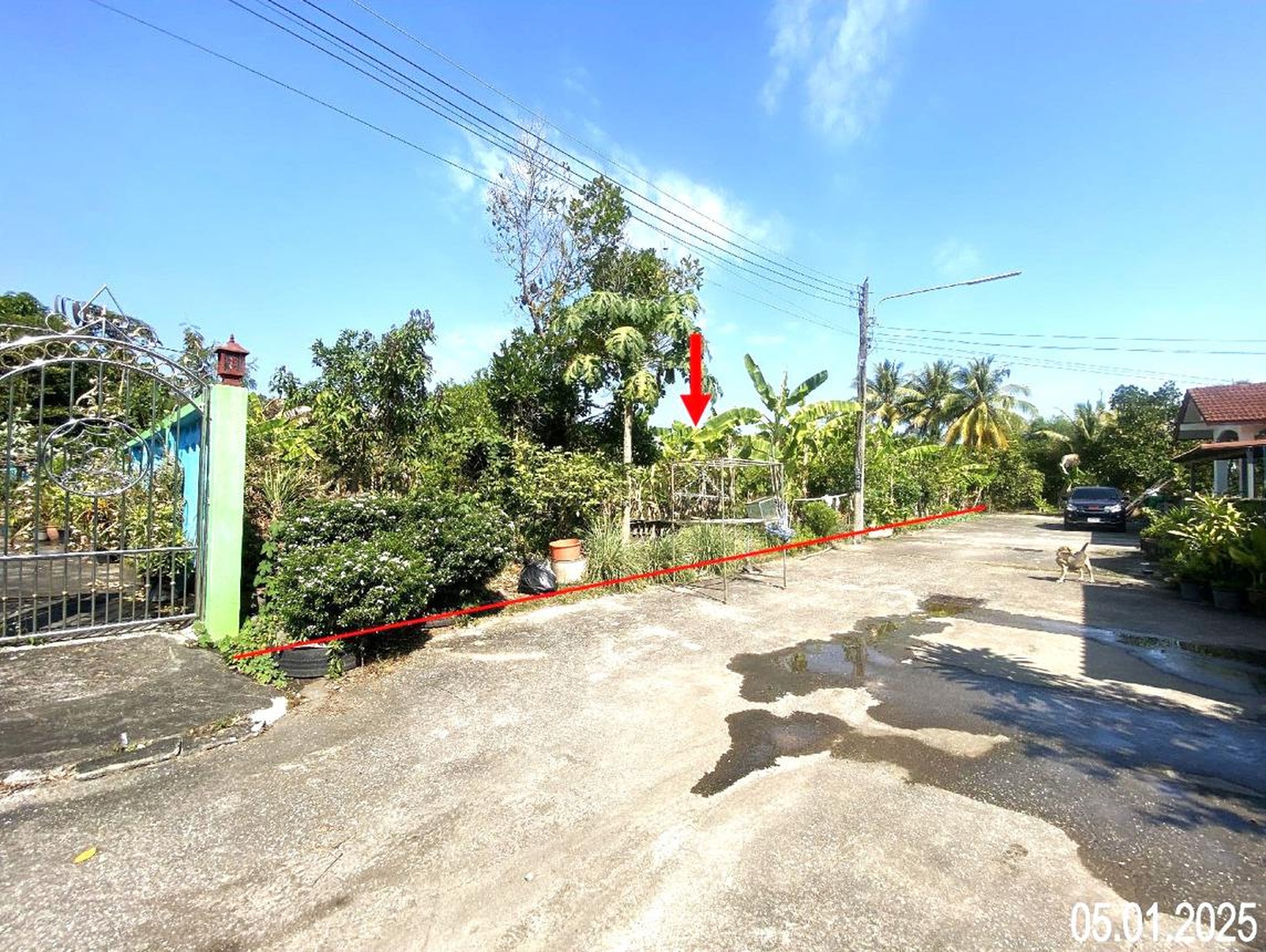 ทรัพย์สถาบันโดย KASIKORNBANK ที่ดิน บ้านภัทรา