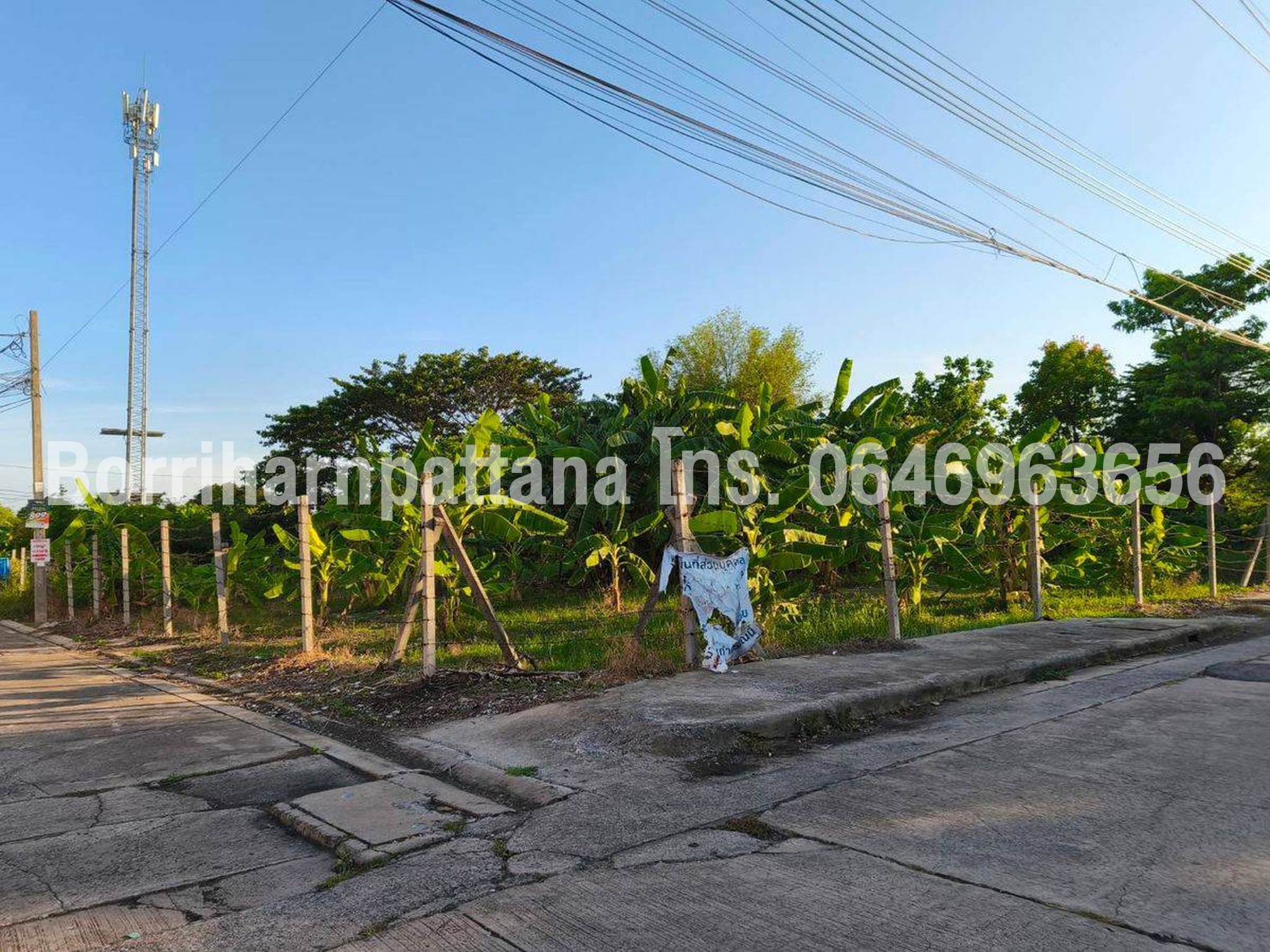 ขายที่ดิน 264 ตร.ว. ติดถนน 3 ด้าน มบ.ถนอมสุข (ไม่มีค่าส่วนกลาง)ซ.สวนผัก 50 ใกล้จุดขึ้นลงทางด่วน ใกล้ถ.กาญจนาภิเษก ใกล้ถ.พุทธมณฑลสาย 1 ใกล้ถ.บรมราชชนนี : โดยนายหน้า/ตัวแทน