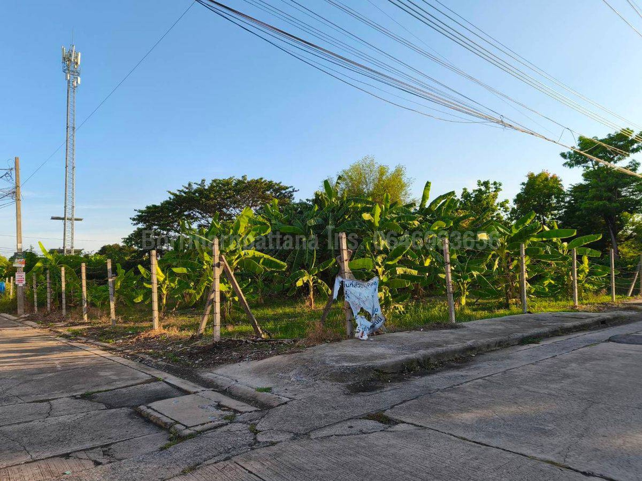 ขายที่ดิน 264 ตร.ว. ติดถนน 3 ด้าน มบ.ถนอมสุข (ไม่มีค่าส่วนกลาง)ซ.สวนผัก 50 ใกล้จุดขึ้นลงทางด่วน ใกล้ถ.กาญจนาภิเษก ใกล้ถ.พุทธมณฑลสาย 1 ใกล้ถ.บรมราชชนนี : โดยนายหน้า/ตัวแทน