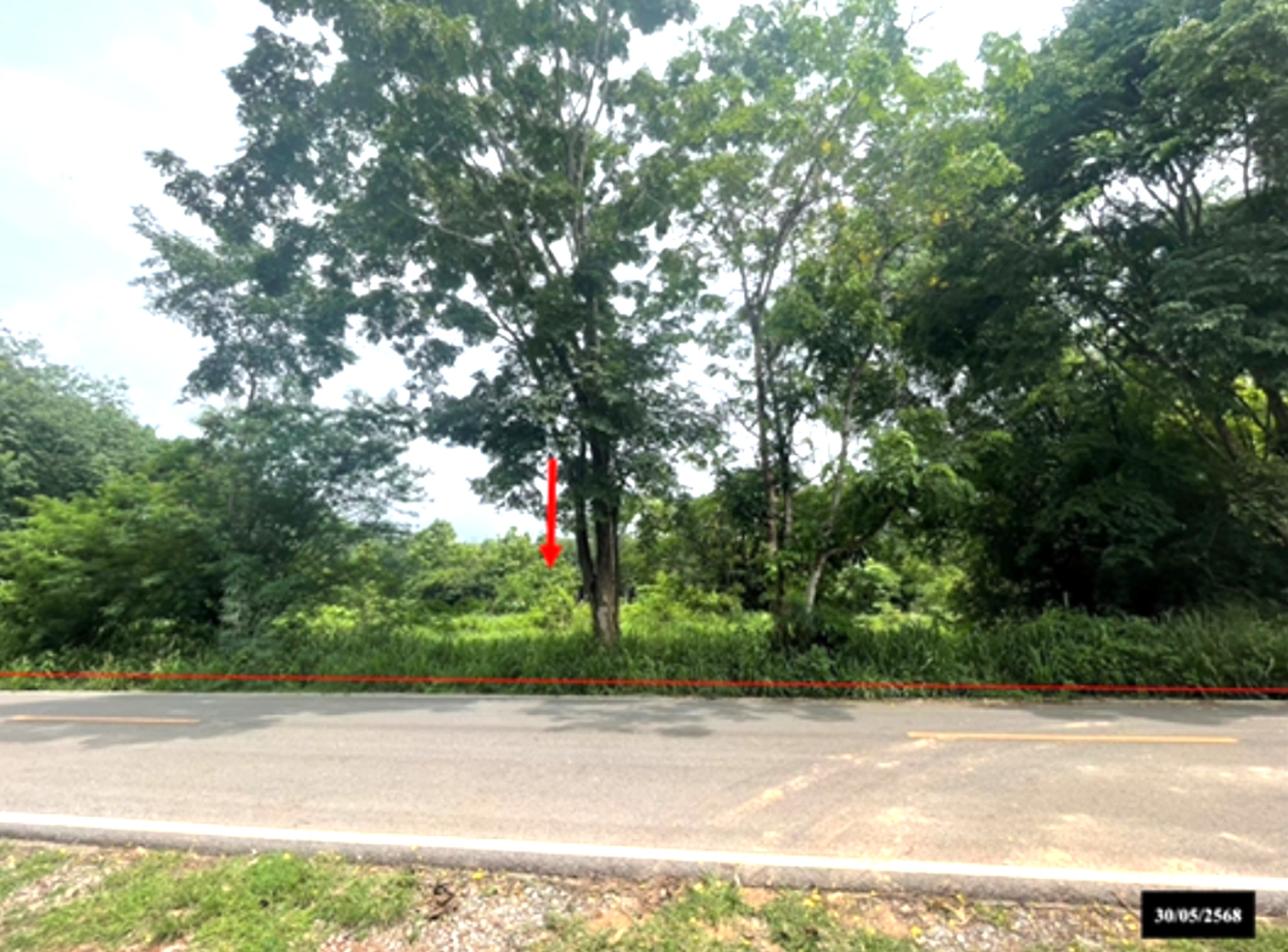 ทรัพย์สถาบันโดย KASIKORNBANK ที่ดิน ถนนสายค้อเขียว-น้ำตกแก่งกุลา(สน.5200)