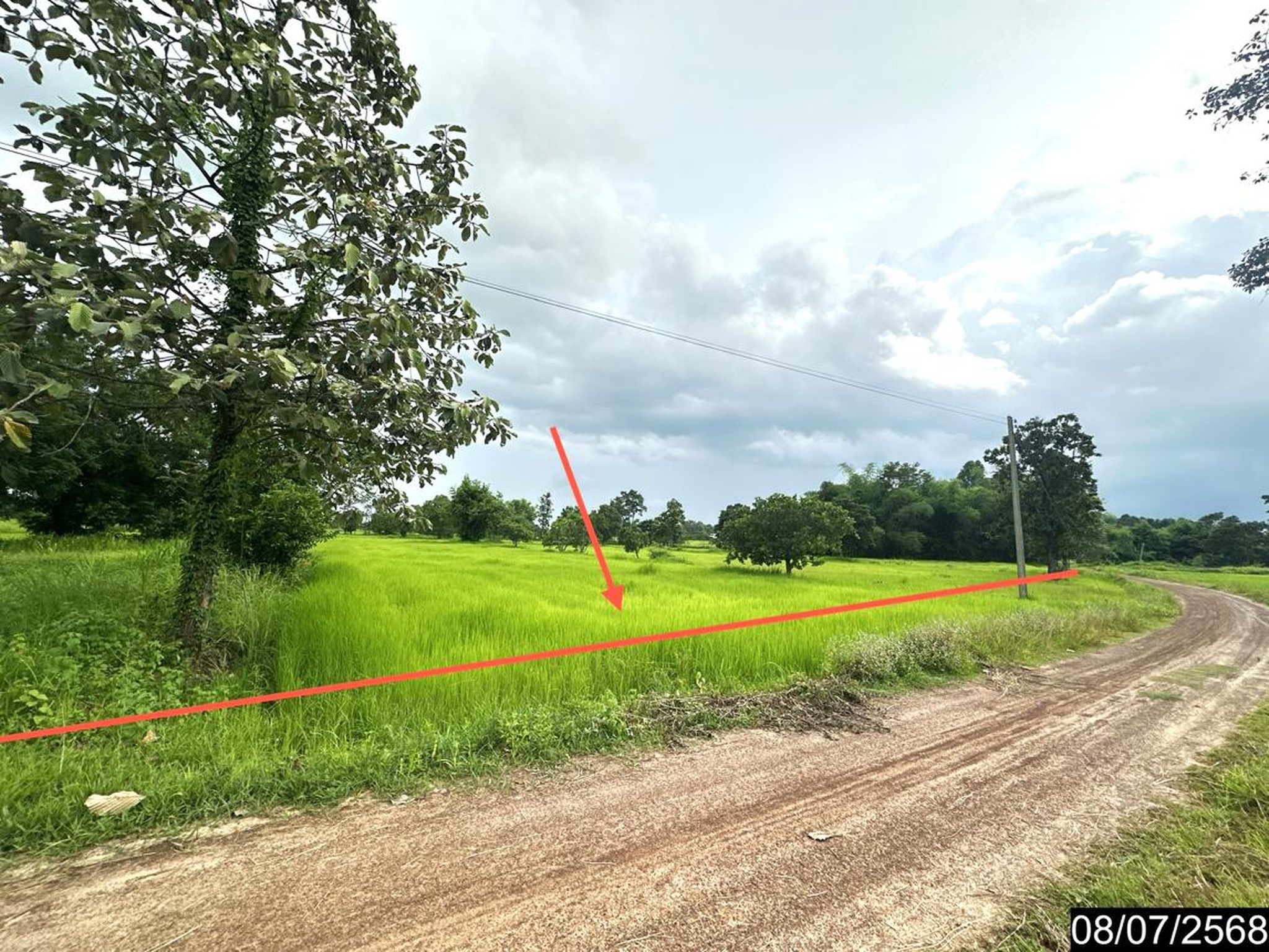 ทรัพย์สถาบันโดย KASIKORNBANK ที่ดิน ถนนสายเดชอุดม-บ้านนาโพธิ์(อบ.4031)