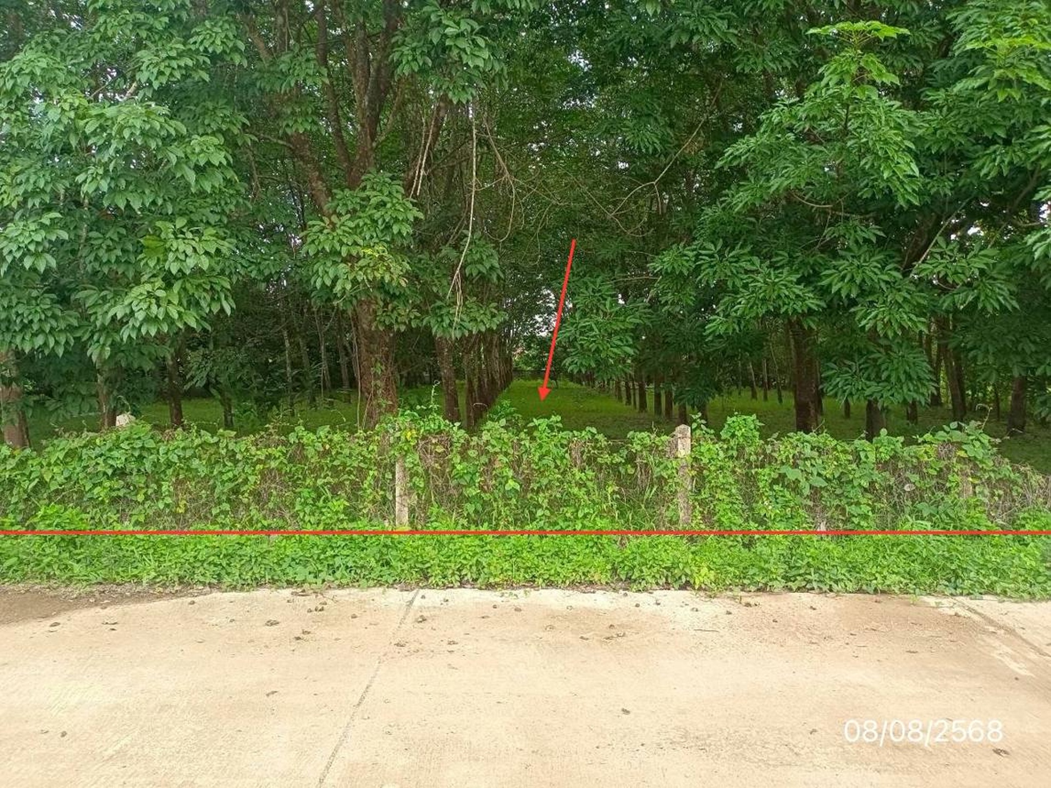 ทรัพย์สถาบันโดย KASIKORNBANK ที่ดิน ซอย9 หมู่ 5 ถนนสายสบบง-บ้านฮวก (พย.1093)