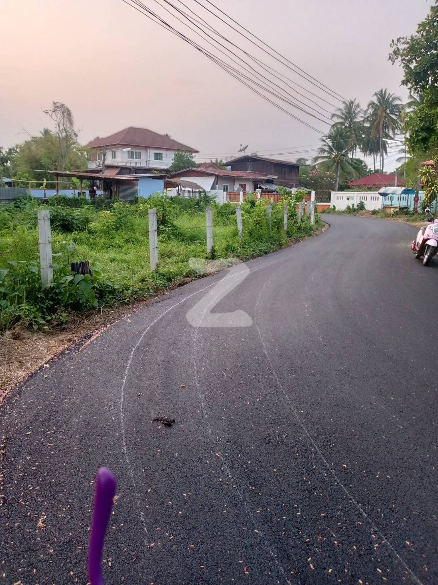 ขายด่วนที่ดินเปล่า 555 ตรว. ในเขตเทศบาล อ.คอนสาร  ที่สวยติดถนน เดินทางสะดวก สงบ ร่มรื่น  : เจ้าของขายเอง (งดรับนายหน้า)