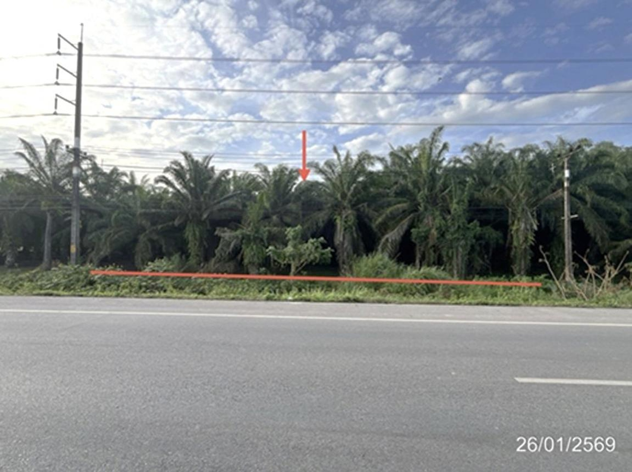 ทรัพย์สถาบันโดย KASIKORNBANK ที่ดิน ถนนสายสุราษฎร์ธานี-ตะกั่วป่า (ทล.401)