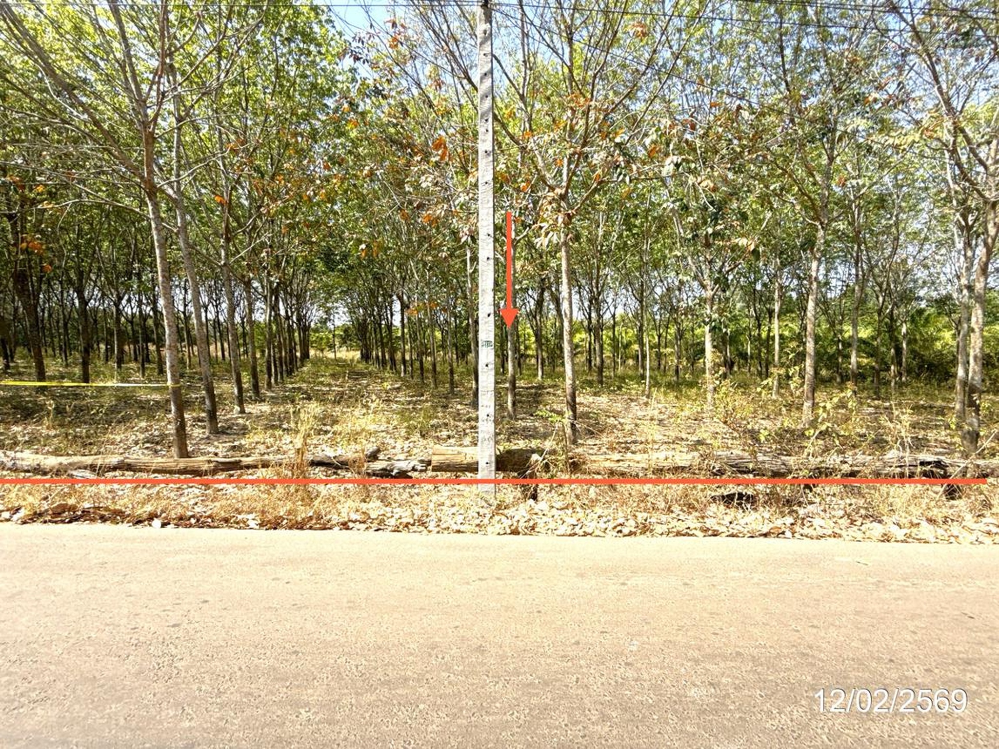ทรัพย์สถาบันโดย KASIKORNBANK ที่ดิน ถนนสายบ้านสร้างโพน - บ้านคำกลาง (อบ.4069)
