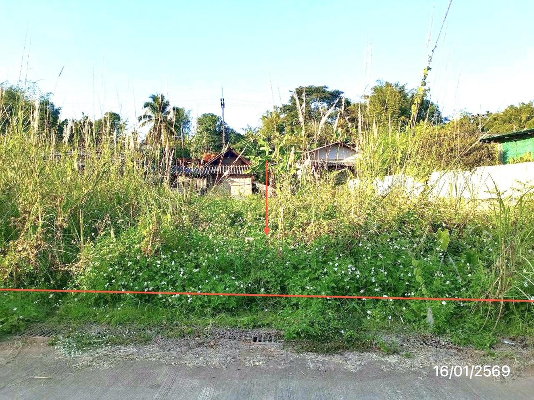 ทรัพย์สถาบันโดย KASIKORNBANK ที่ดิน ถนนสายเชียงราย - แม่สาย (ทล.1)