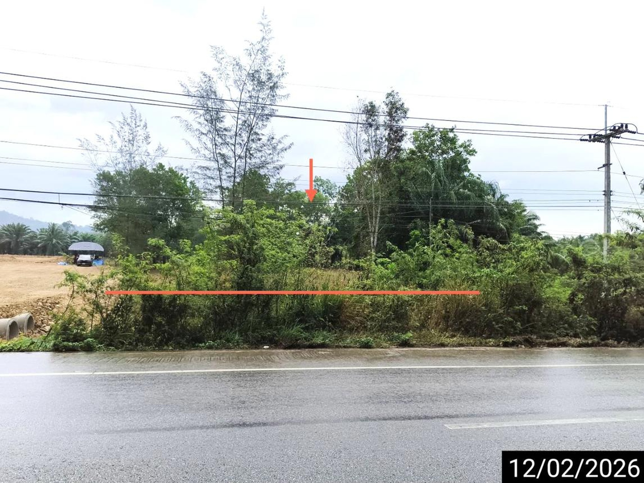 ทรัพย์สถาบันโดย KASIKORNBANK ที่ดิน ถนนสายชุมพร - พัทลุง (ทล.41)