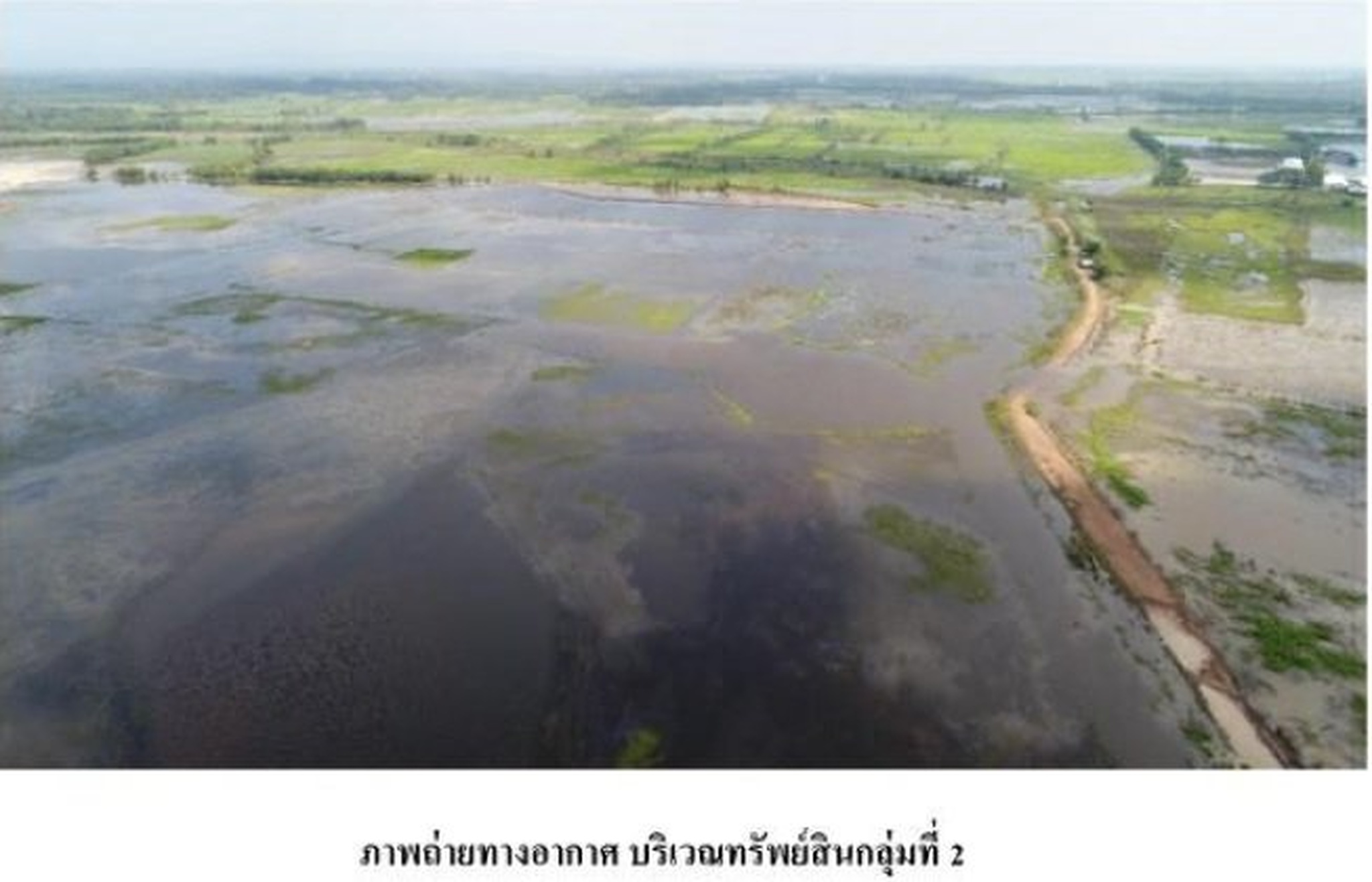 ทรัพย์สถาบันโดย SCB ที่ดิน ที่ดินว่างเปล่า