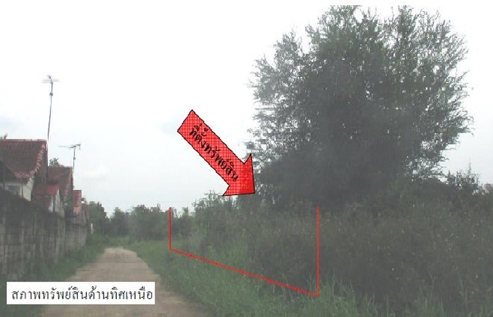 ทรัพย์สถาบันโดย SCB ที่ดิน ที่ดินว่างเปล่า อรัญประเทศ-สระแก้ว