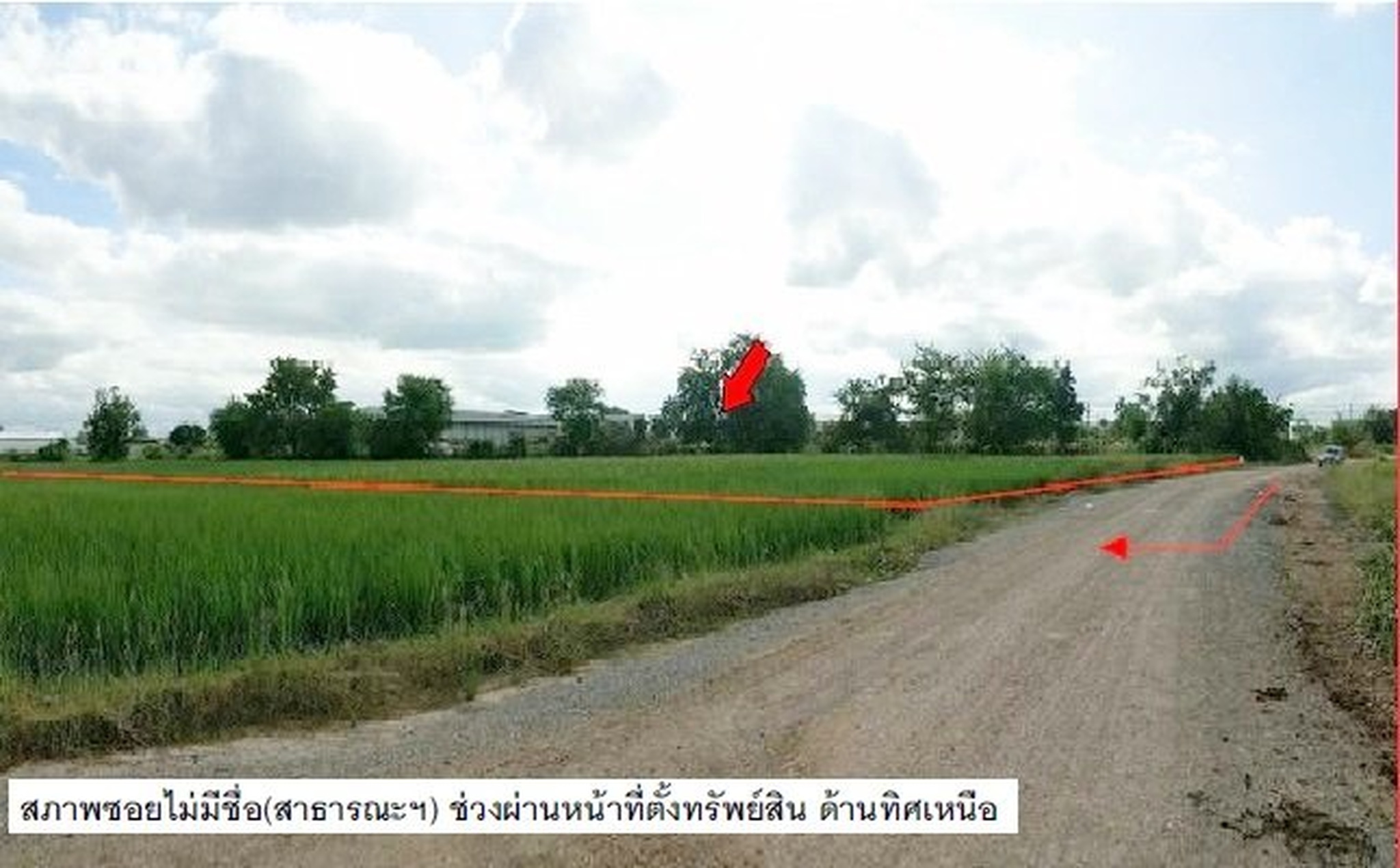 ทรัพย์สถาบันโดย SCB ที่ดิน ที่ดินว่างเปล่า ด่านขุนทด-นครราชสีมา