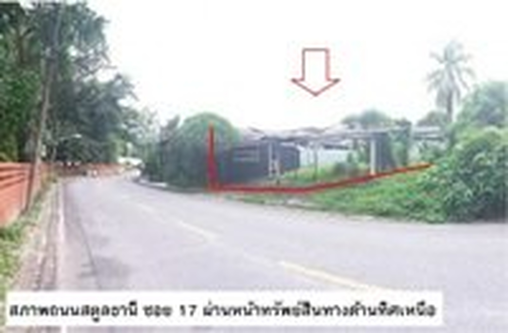 ทรัพย์สถาบันโดย SCB ที่ดิน ที่ดินว่างเปล่า เมืองสตูล