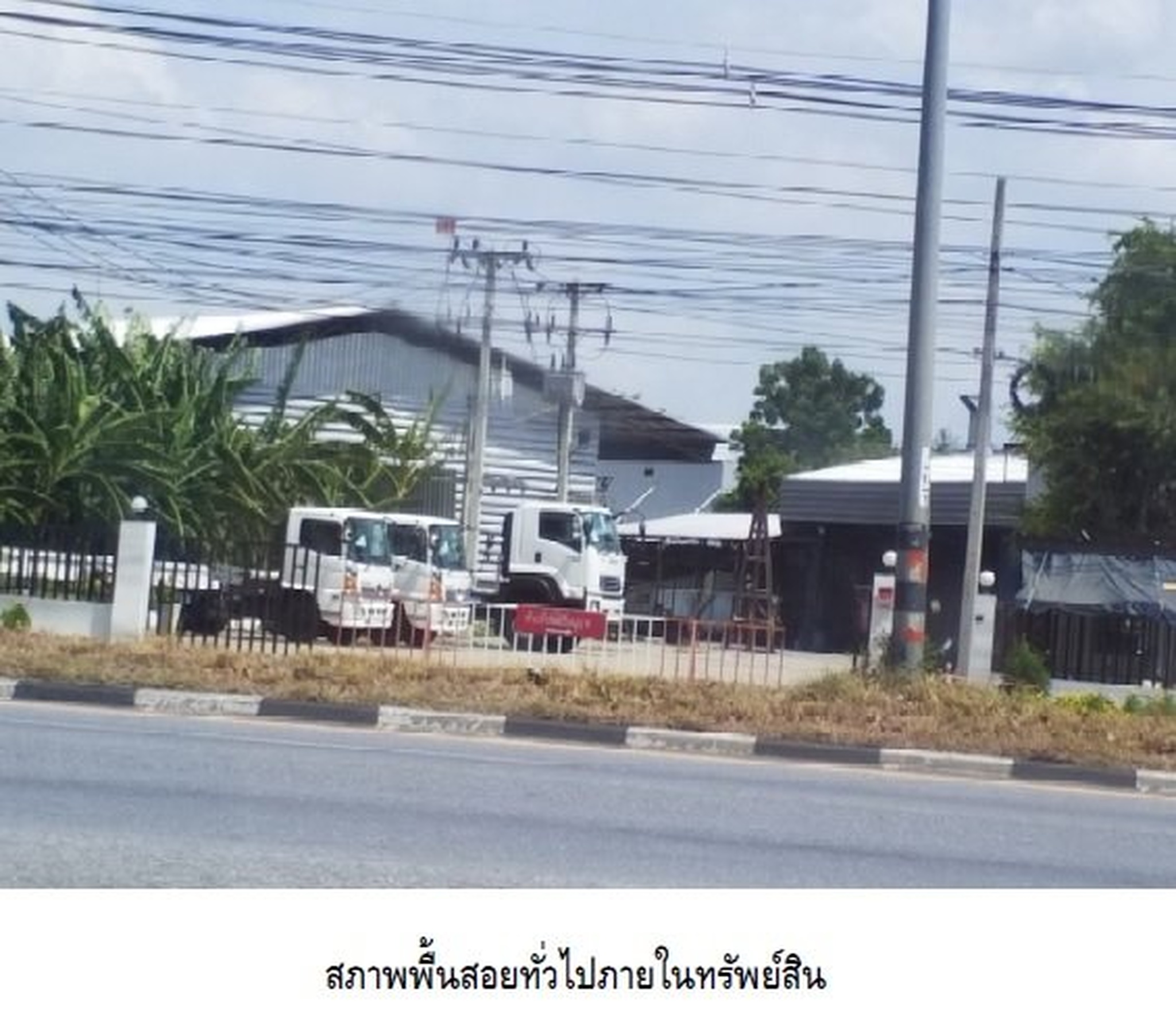 ทรัพย์สถาบันโดย SCB โกดัง/โรงงาน โกดัง สูงเนิน-นครราชสีมา