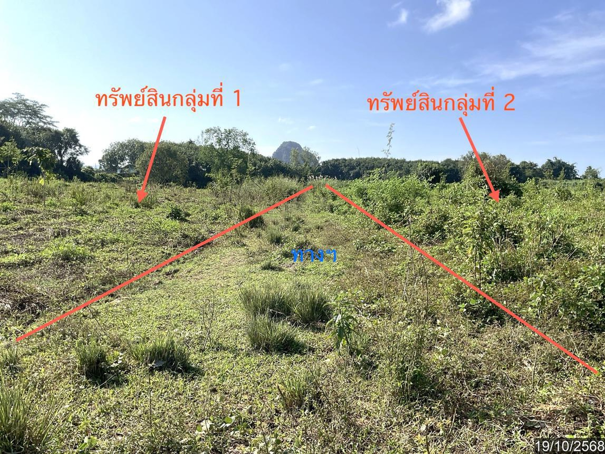 ทรัพย์สถาบันโดย KASIKORNBANK ที่ดิน ถนนสายบ้านป่าบง-บ้านใหม่มงคล(ชร.2032)