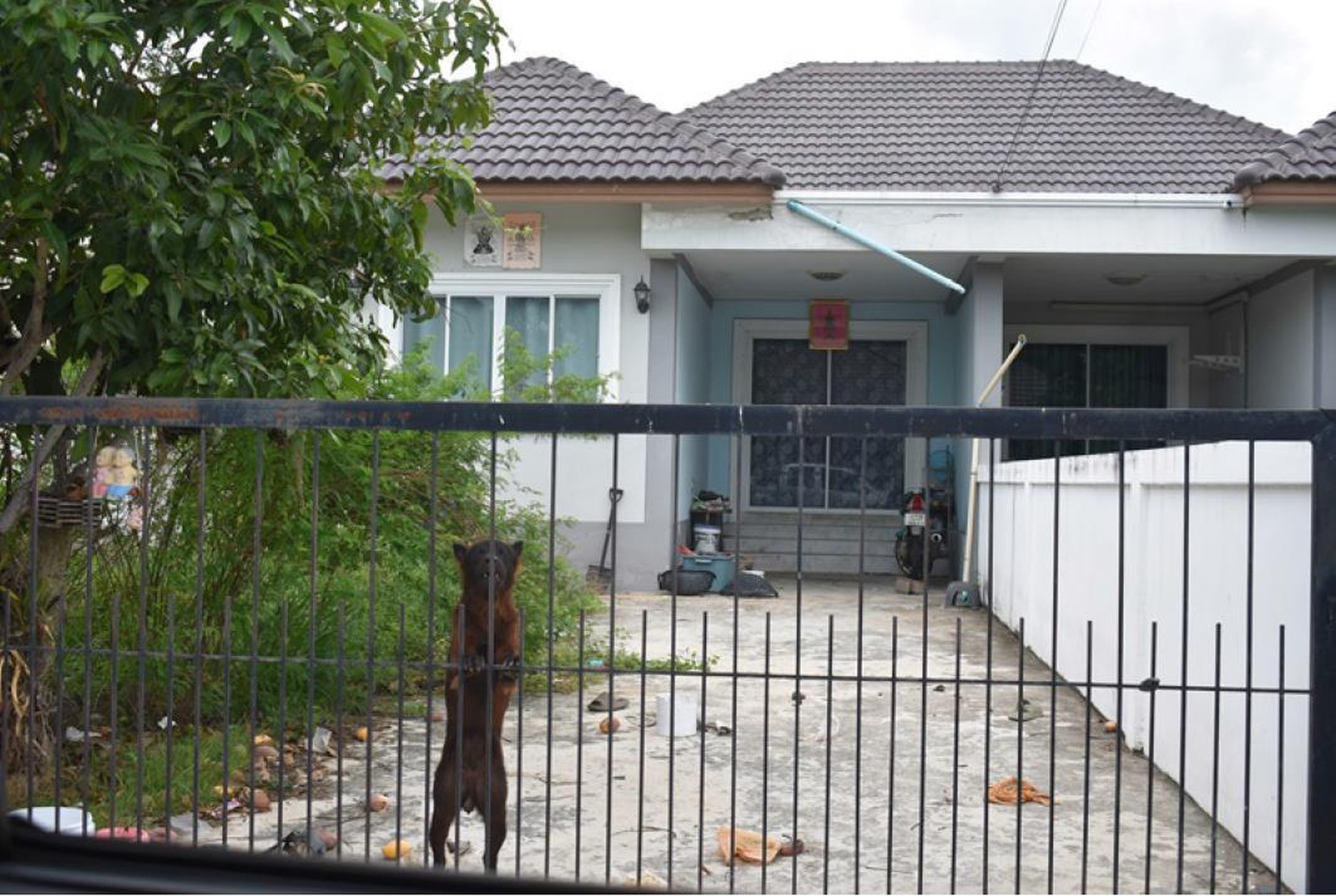 ทรัพย์สถาบันโดย GHB บ้านแฝด เดอะเบสแอทเสท