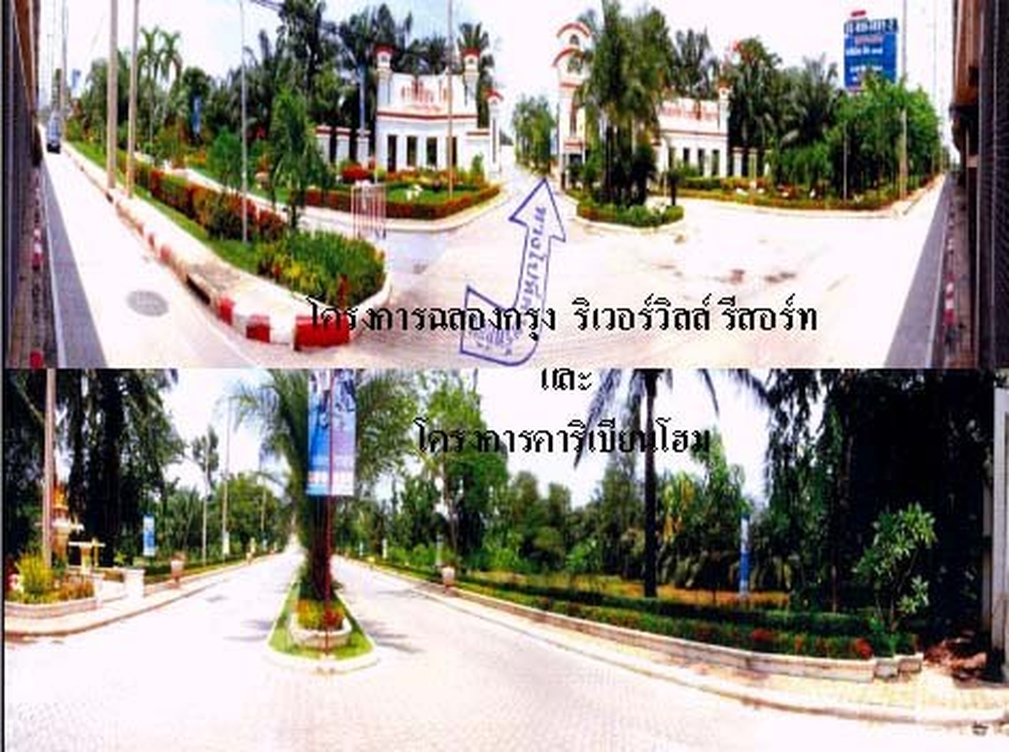 ทรัพย์สถาบันโดย SCB ที่ดิน ฉลองกรุงริเวอร์วิลล์(คาริเบียนโฮม)