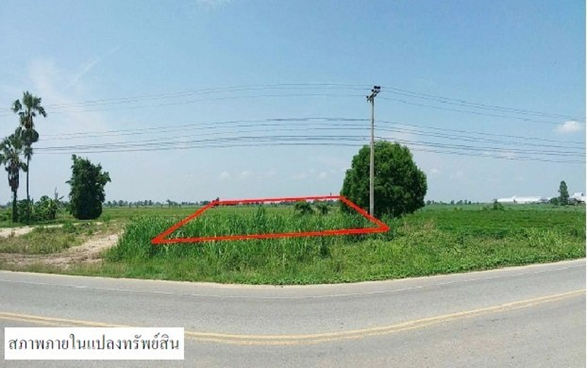 ทรัพย์สถาบันโดย SCB ที่ดิน ที่ดินว่างเปล่า กำแพงเพชร