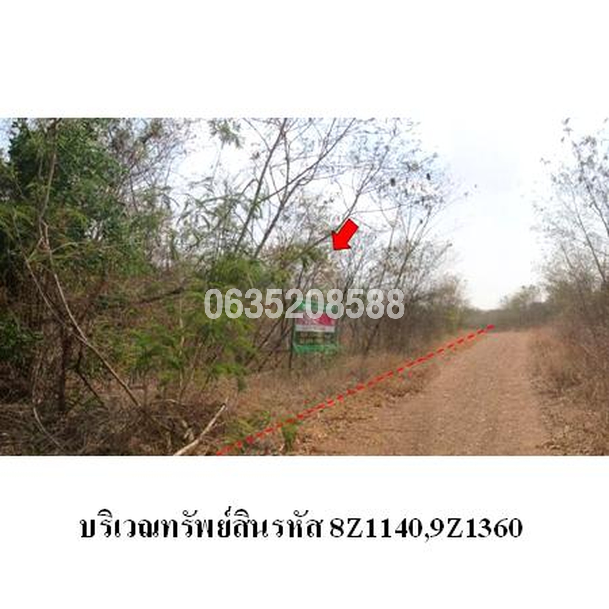 ขายที่ดิน เพชรบูรณ์การ์เด้นฮิลล์