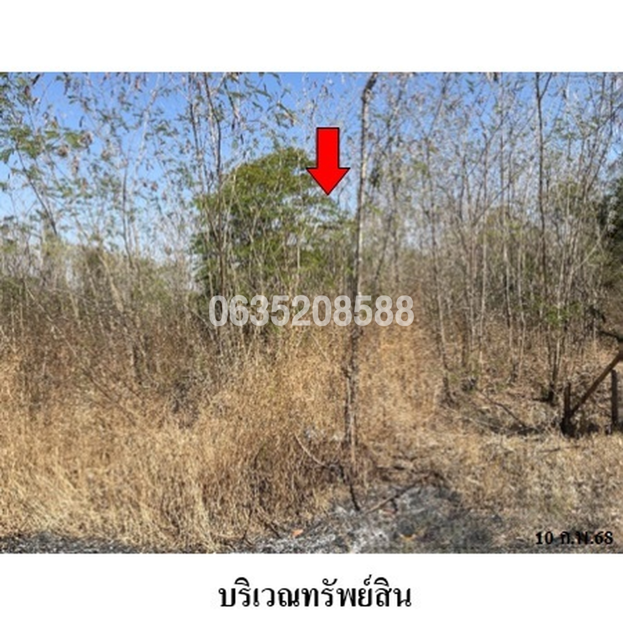 ขายที่ดิน เพชรบูรณ์การ์เด้นฮิลล์