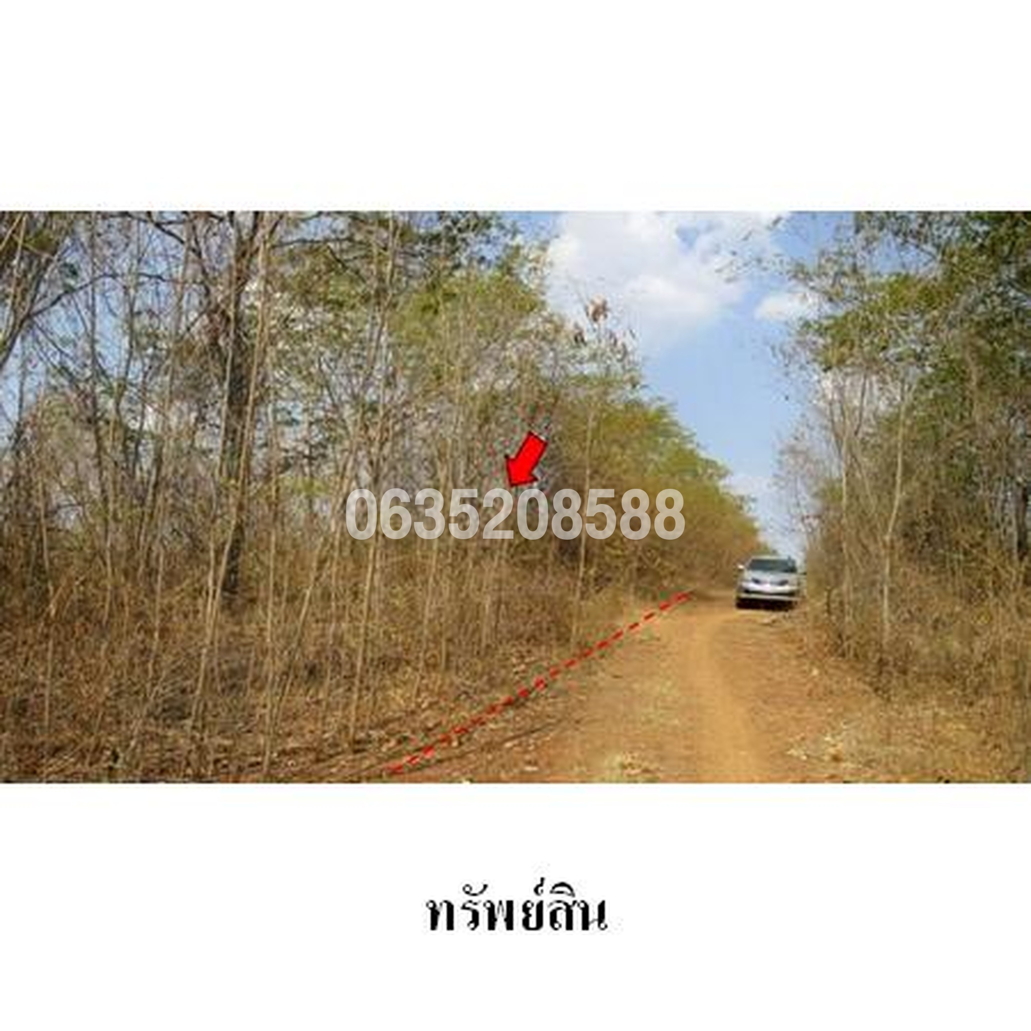 ขายที่ดิน เพชรบูรณ์การ์เด้นฮิลล์