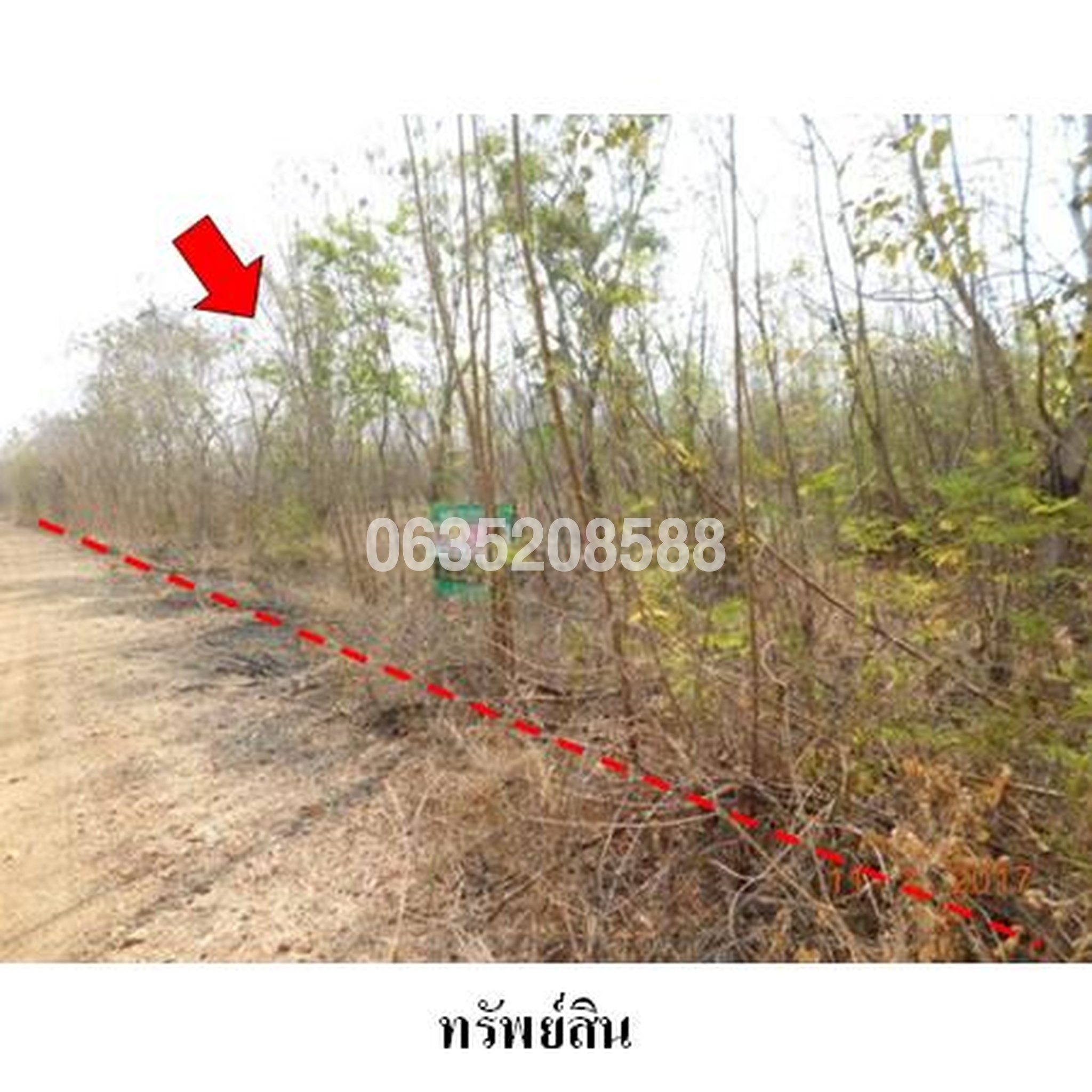 ขายที่ดิน เพชรบูรณ์การ์เด้นฮิลล์