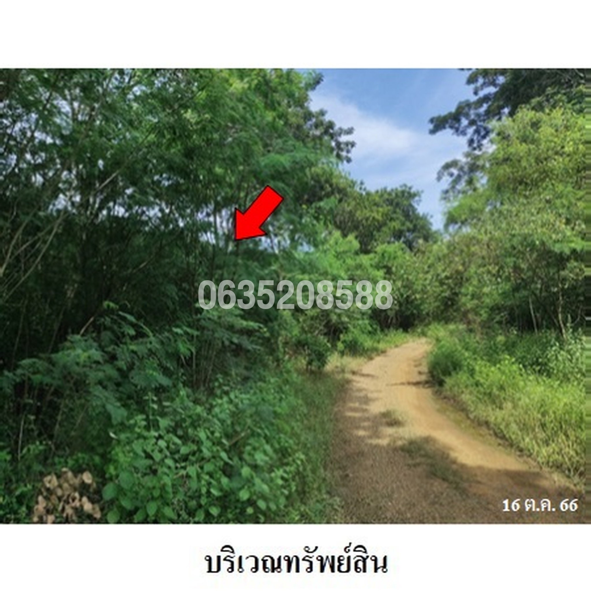 ขายที่ดิน เพชรบูรณ์การ์เด้นฮิลล์
